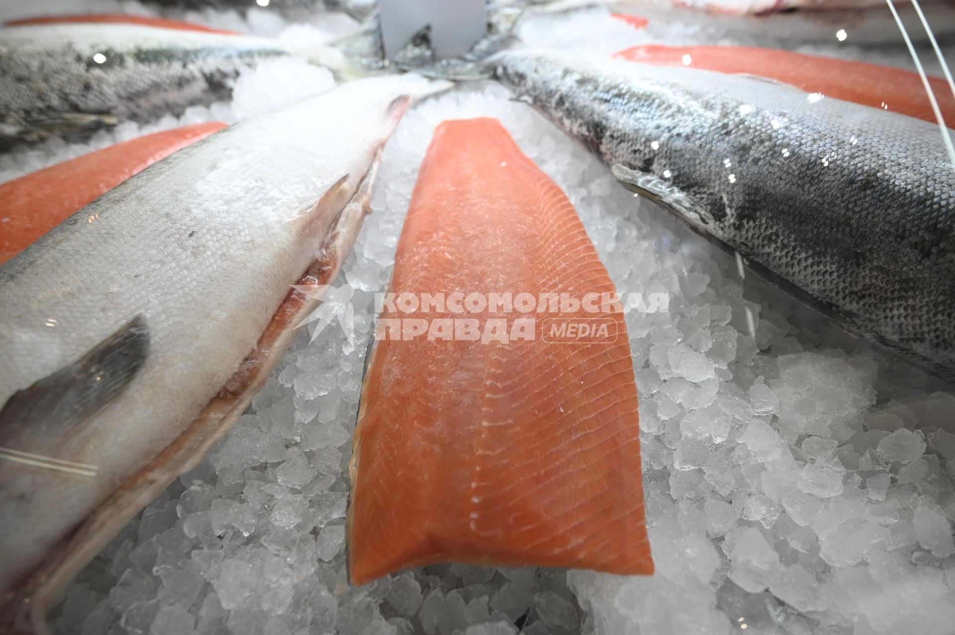 Международный рыбопромышленный форум и выставка Seefood Expo Russia в Санкт-Петербурге
