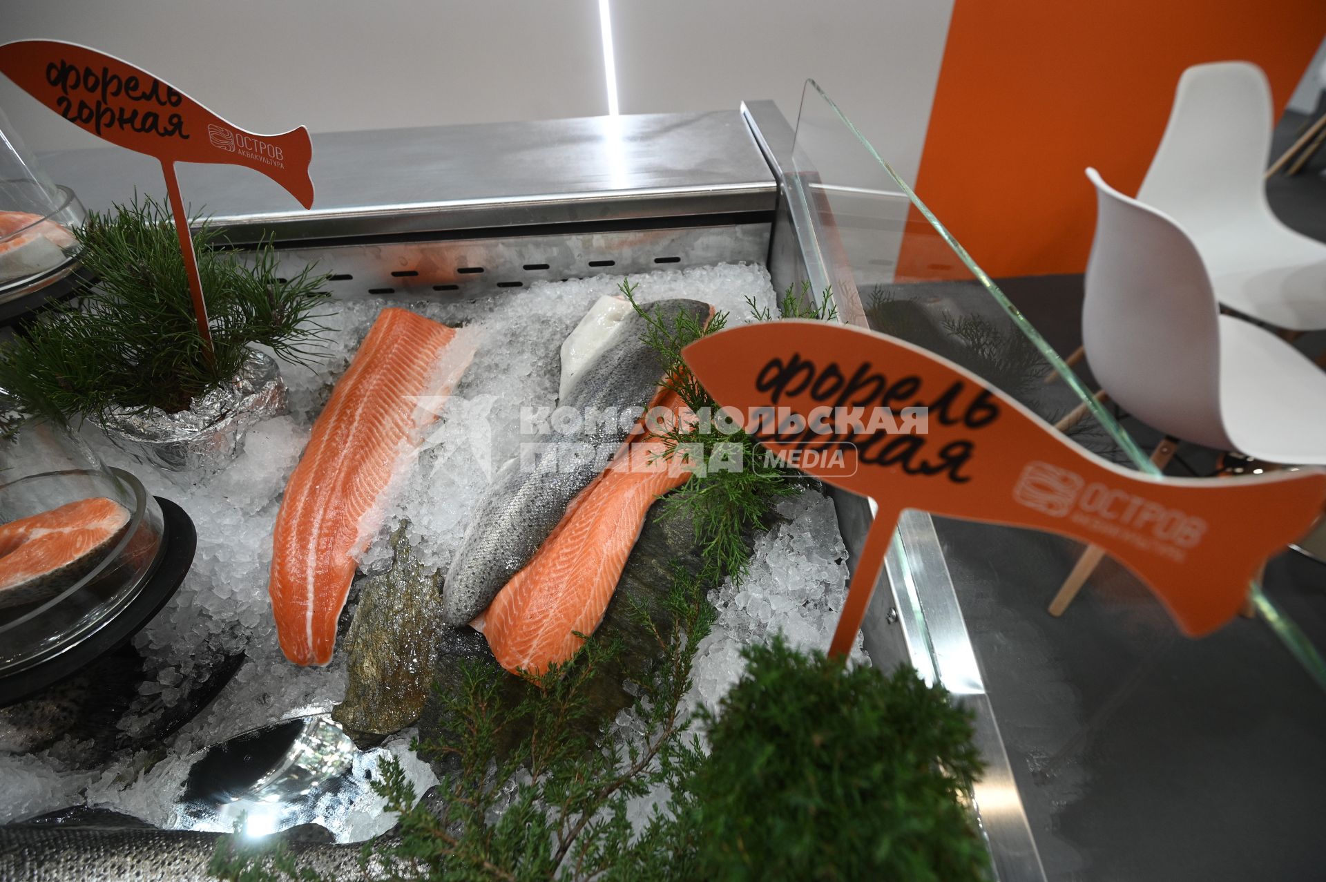 Международный рыбопромышленный форум и выставка Seefood Expo Russia в Санкт-Петербурге