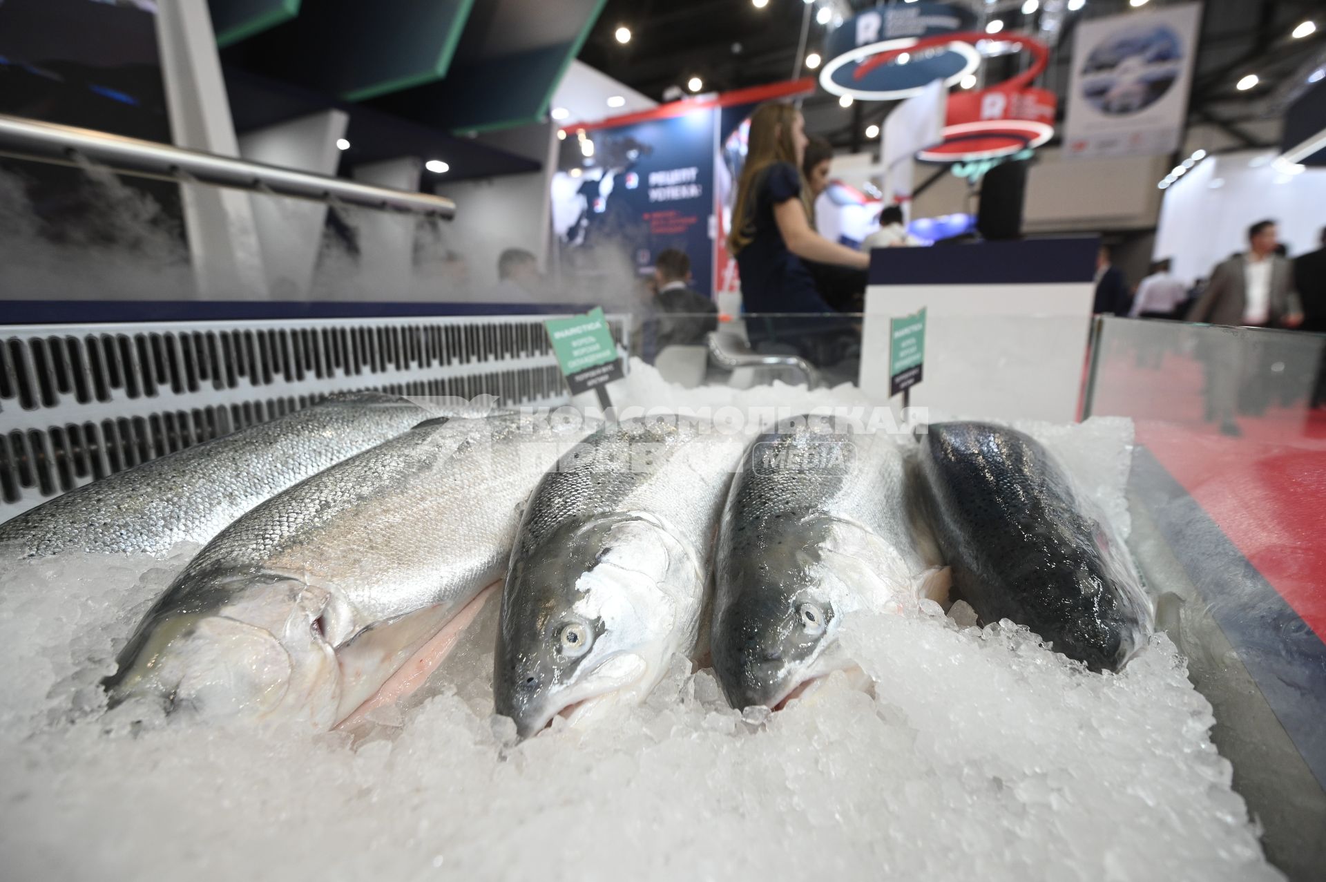Международный рыбопромышленный форум и выставка Seefood Expo Russia в Санкт-Петербурге