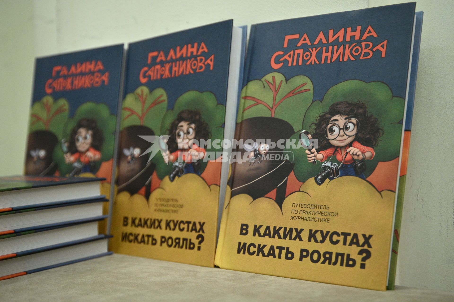 Презентация книги В каких кустах стоит рояль? Галины Сапожниковой