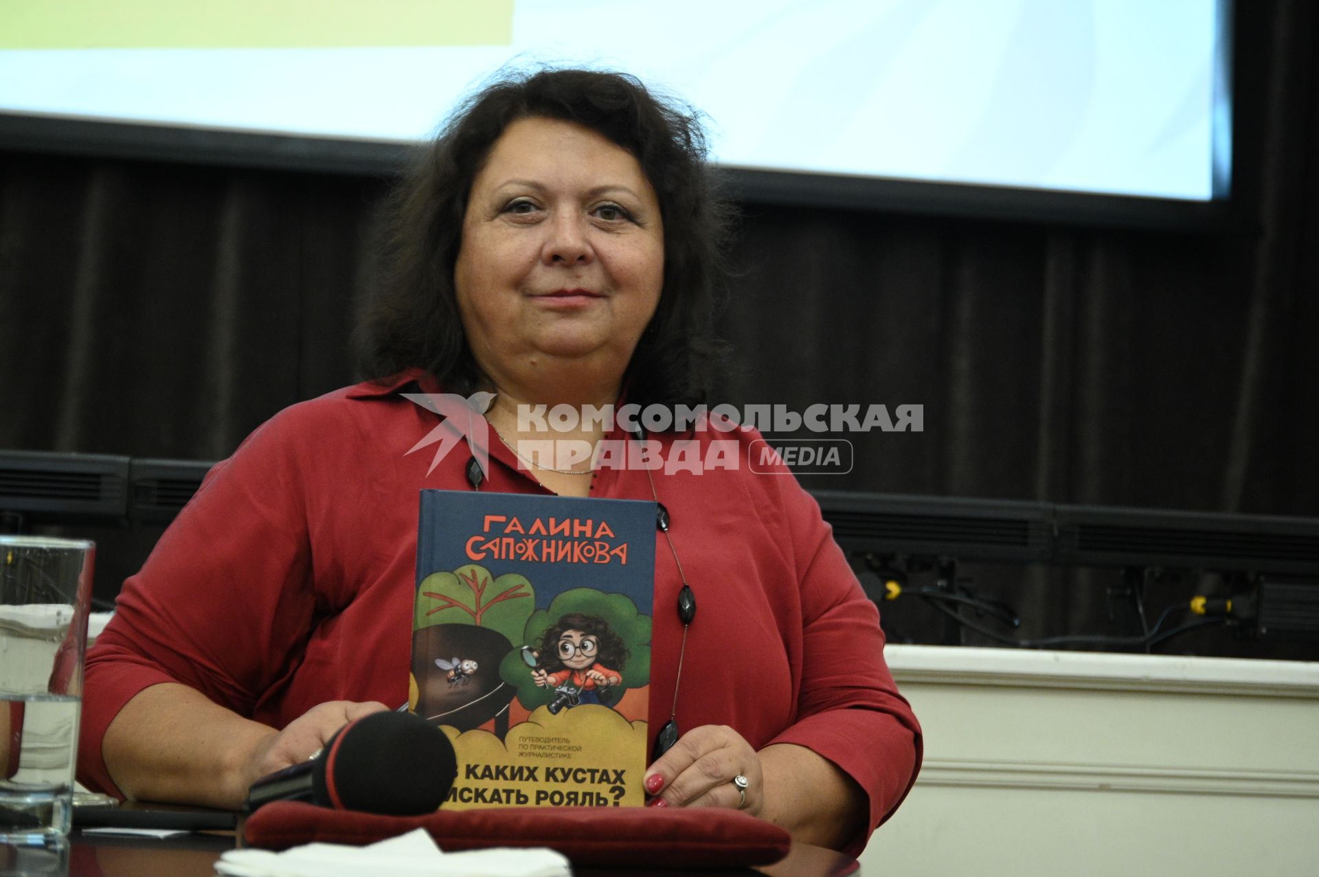 Презентация книги В каких кустах стоит рояль? Галины Сапожниковой