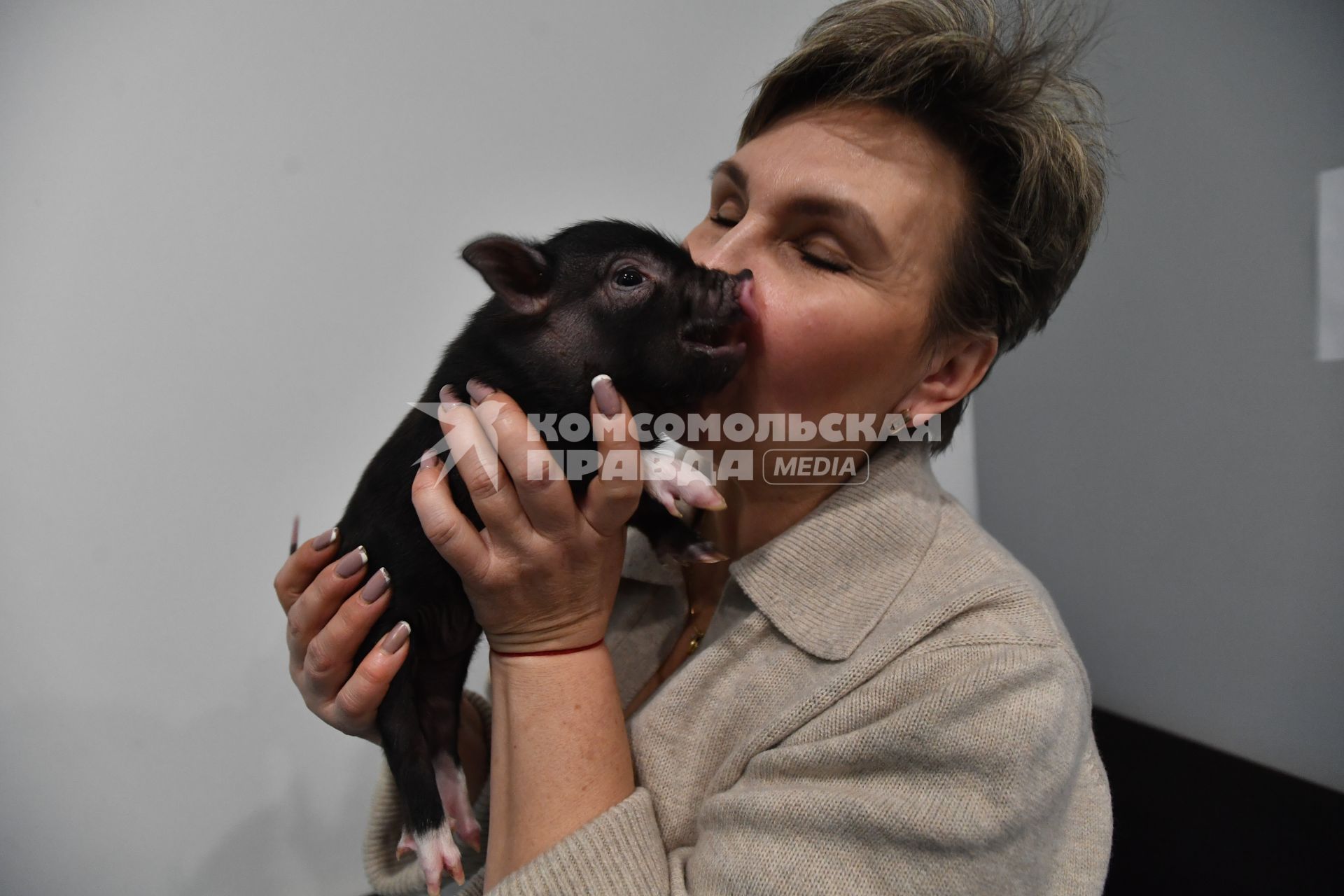 Антикафе с минипигами для взрослых и детей Minipig