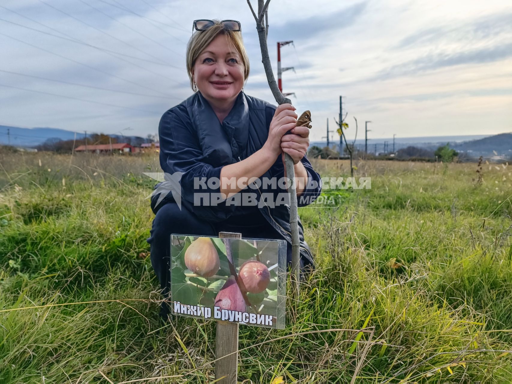 В Сочи разбивают плантации для выращивания экзотических фруктов