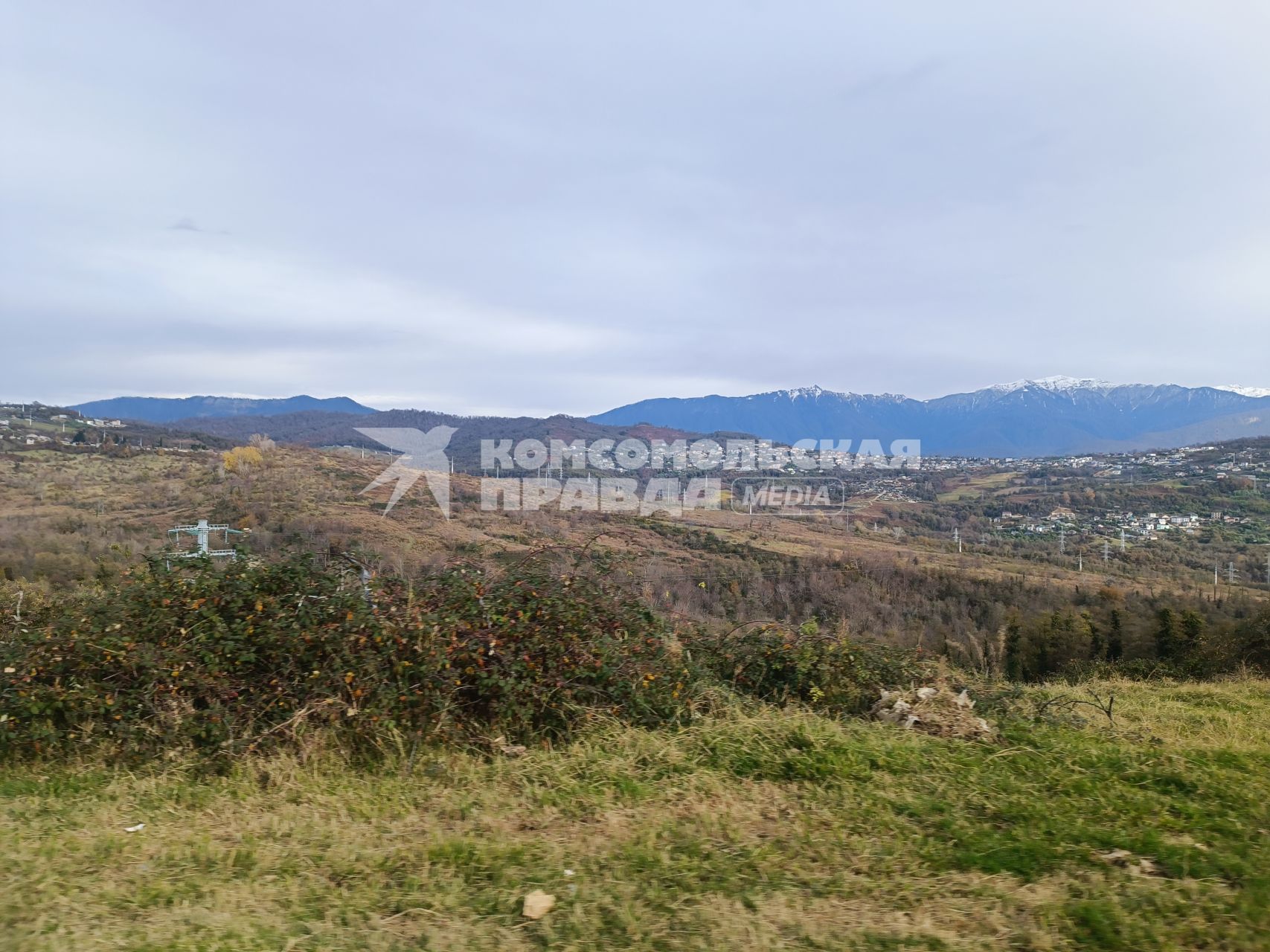 В Сочи разбивают плантации для выращивания экзотических фруктов