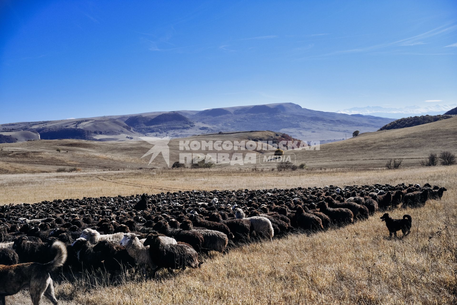 Карачаево-Черкесская Республика