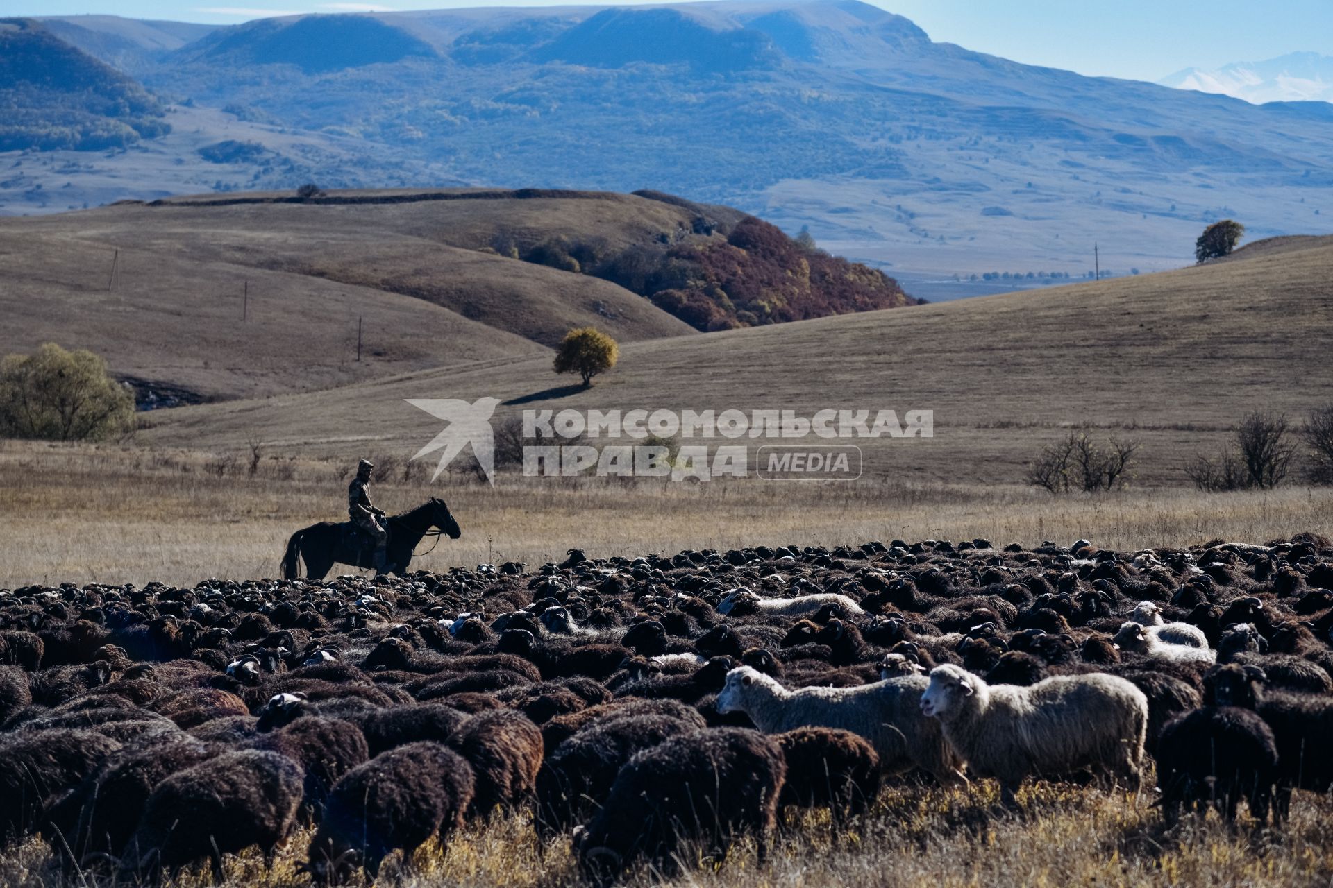 Карачаево-Черкесская Республика