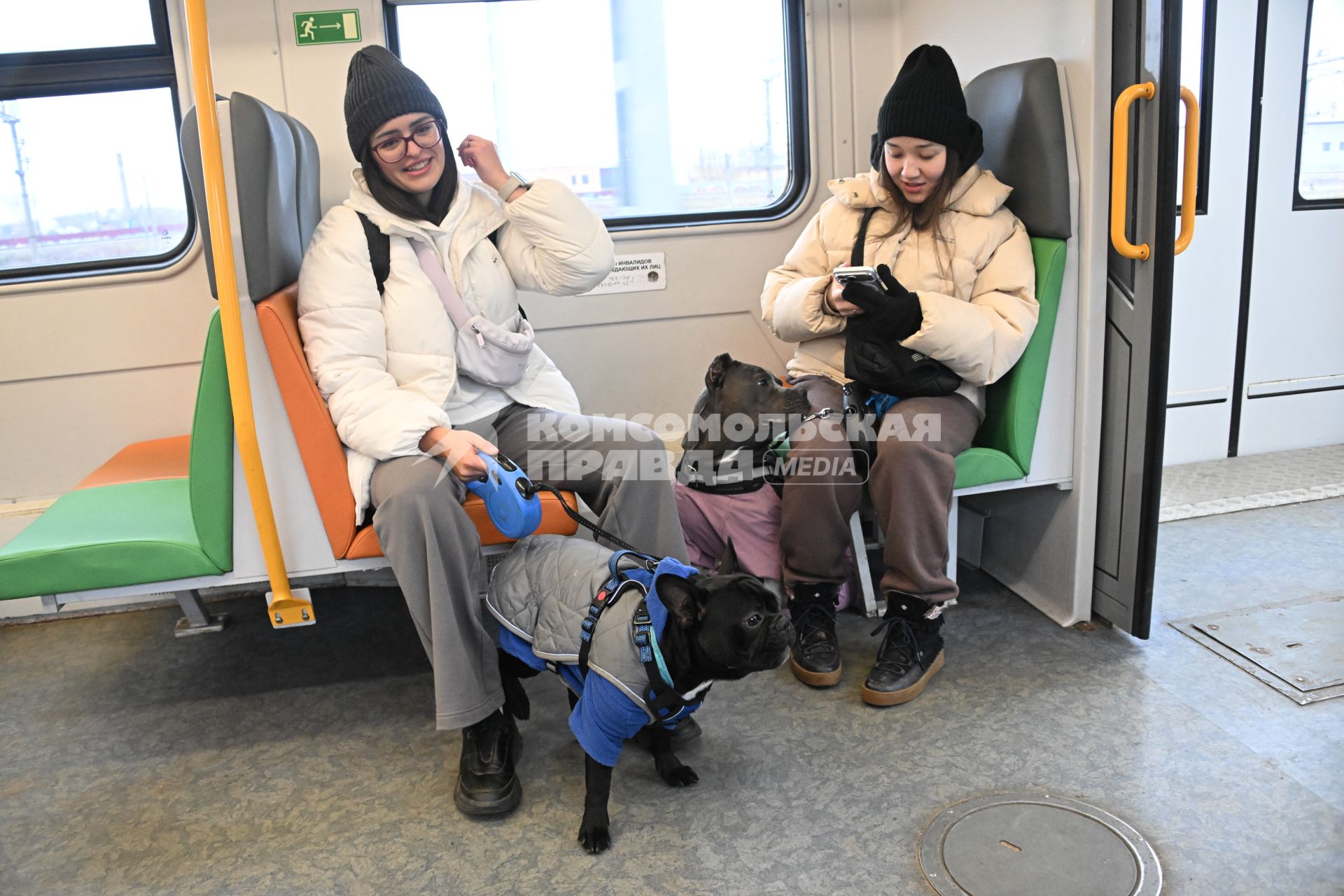 Девушки с собаками в электричке