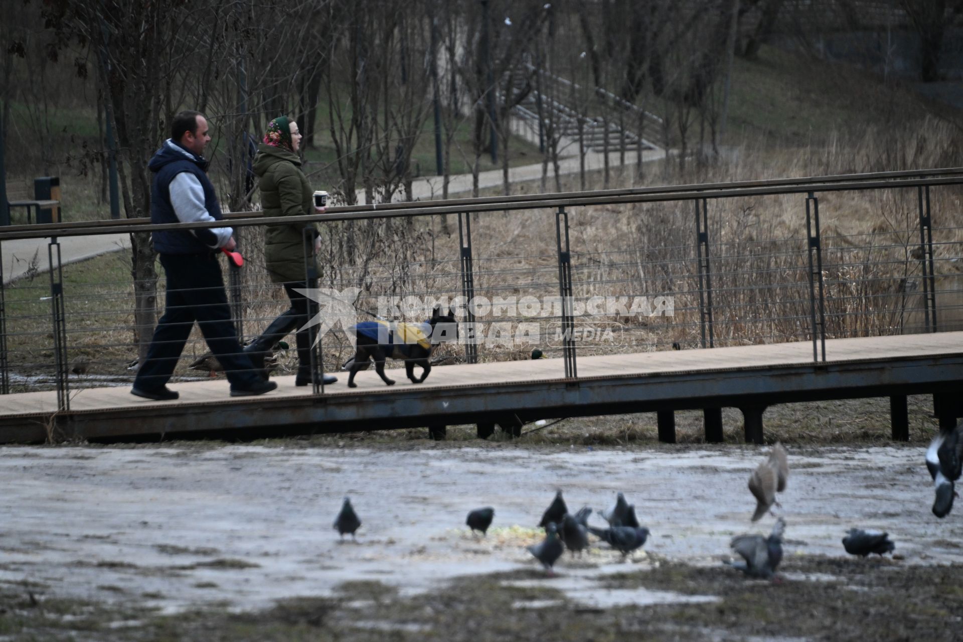 Горожане гуляют в парке