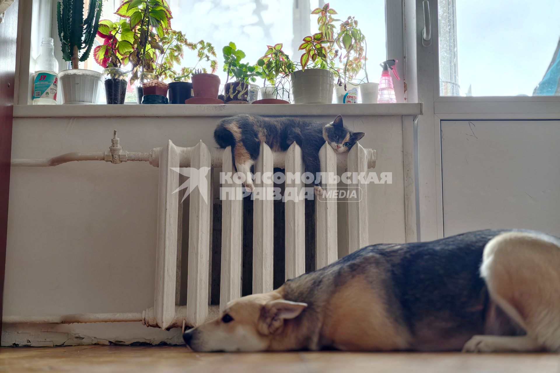 Повседневное