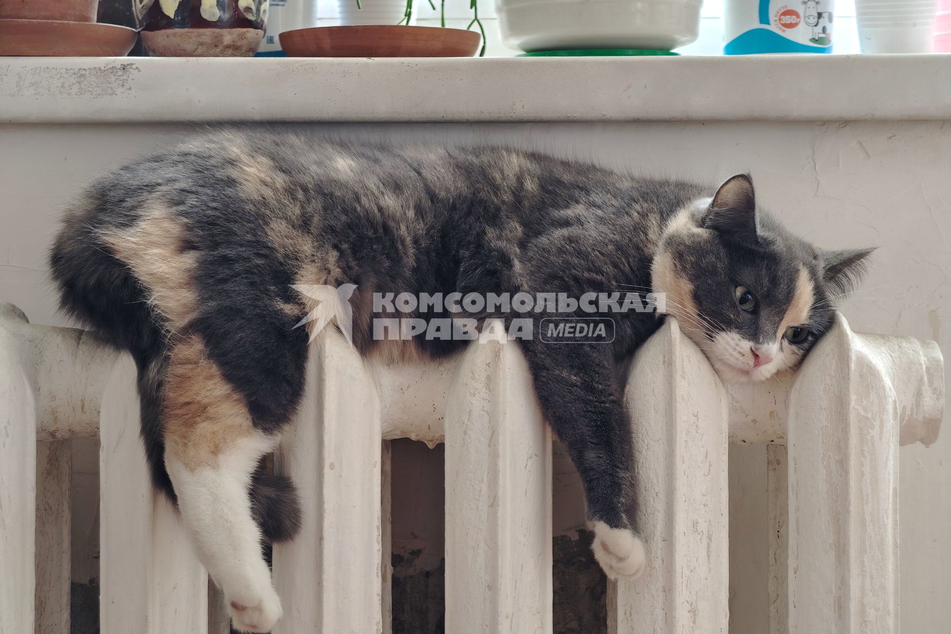 Повседневное