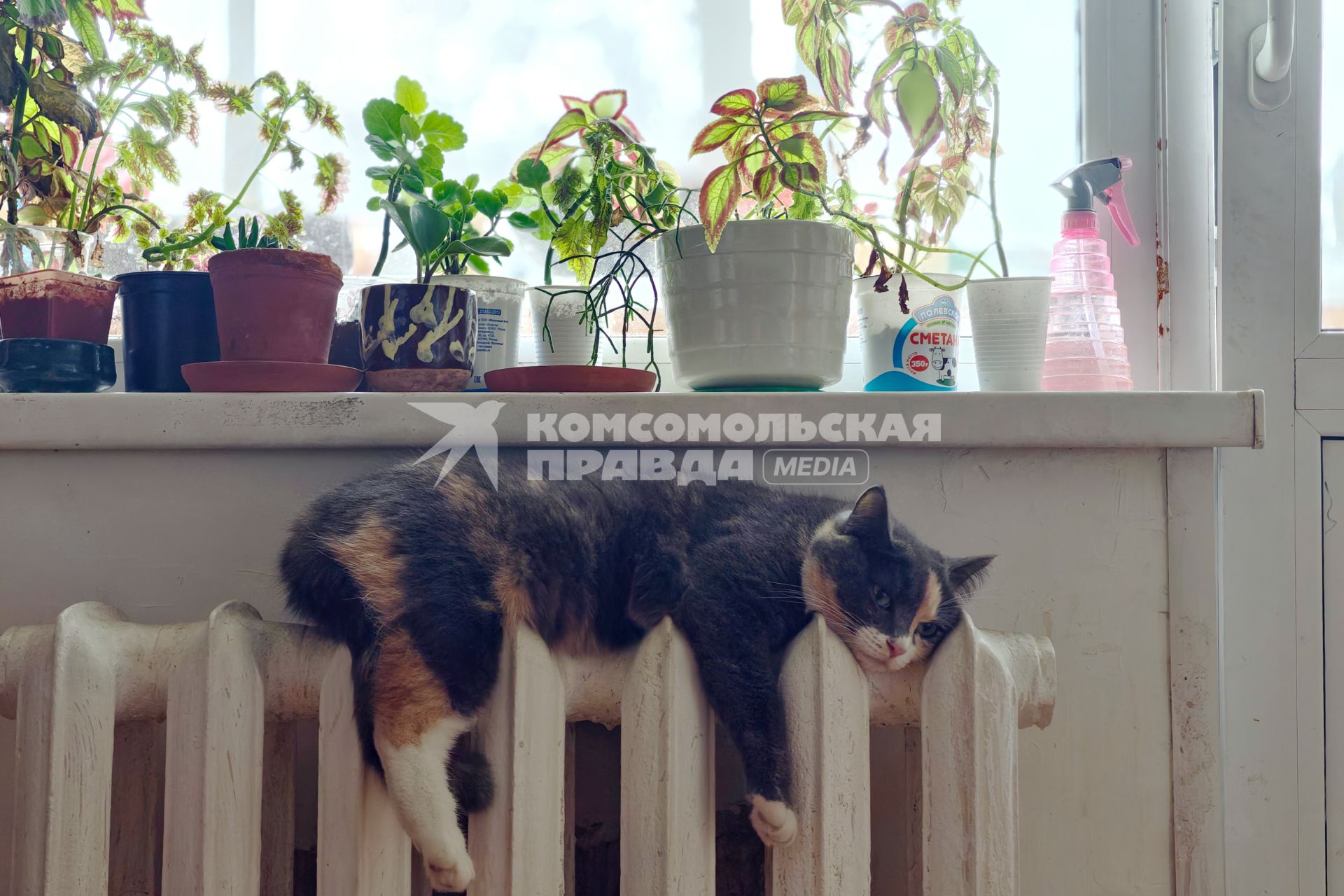 Повседневное