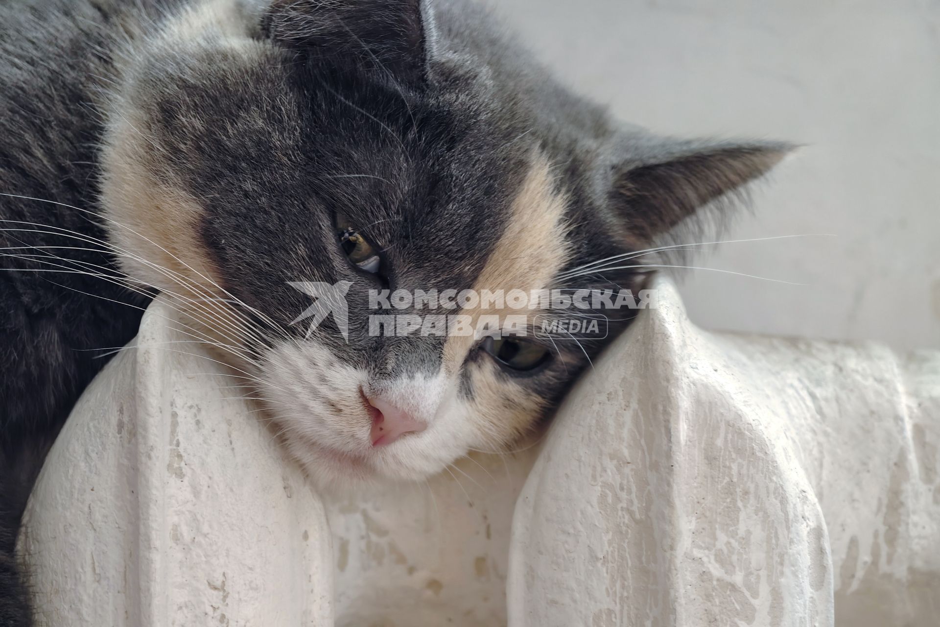 Повседневное