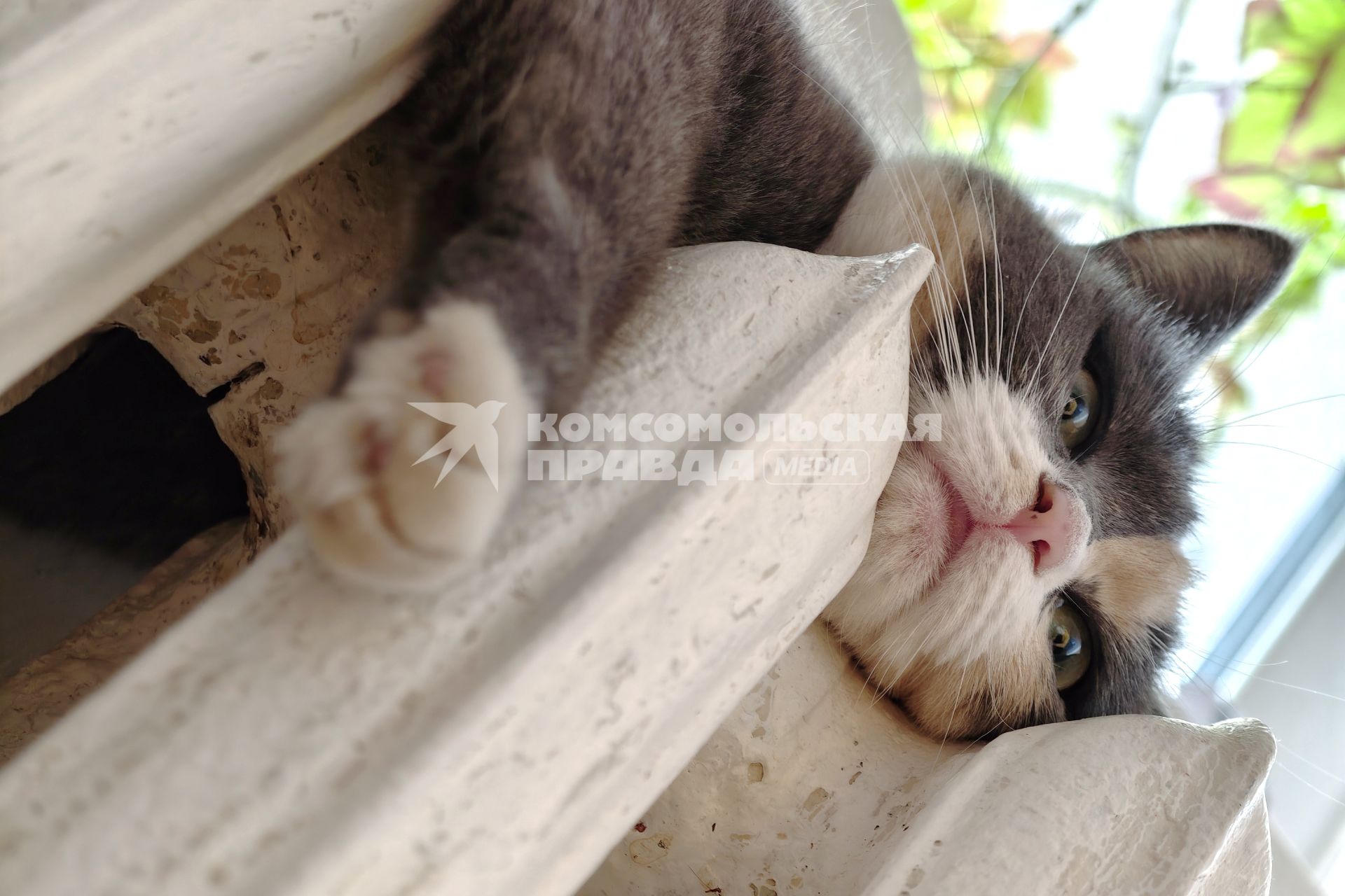 Повседневное