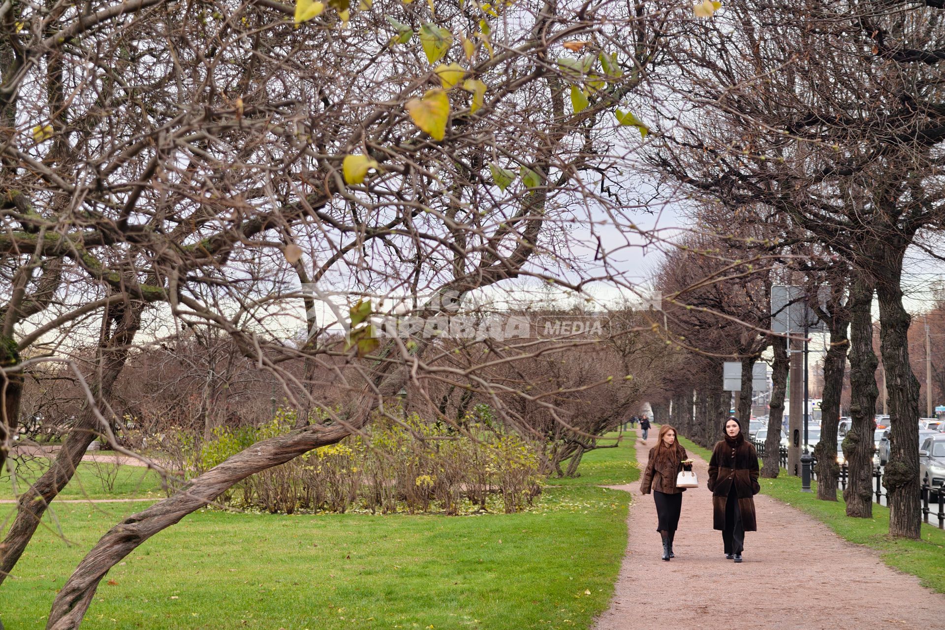 Повседневное