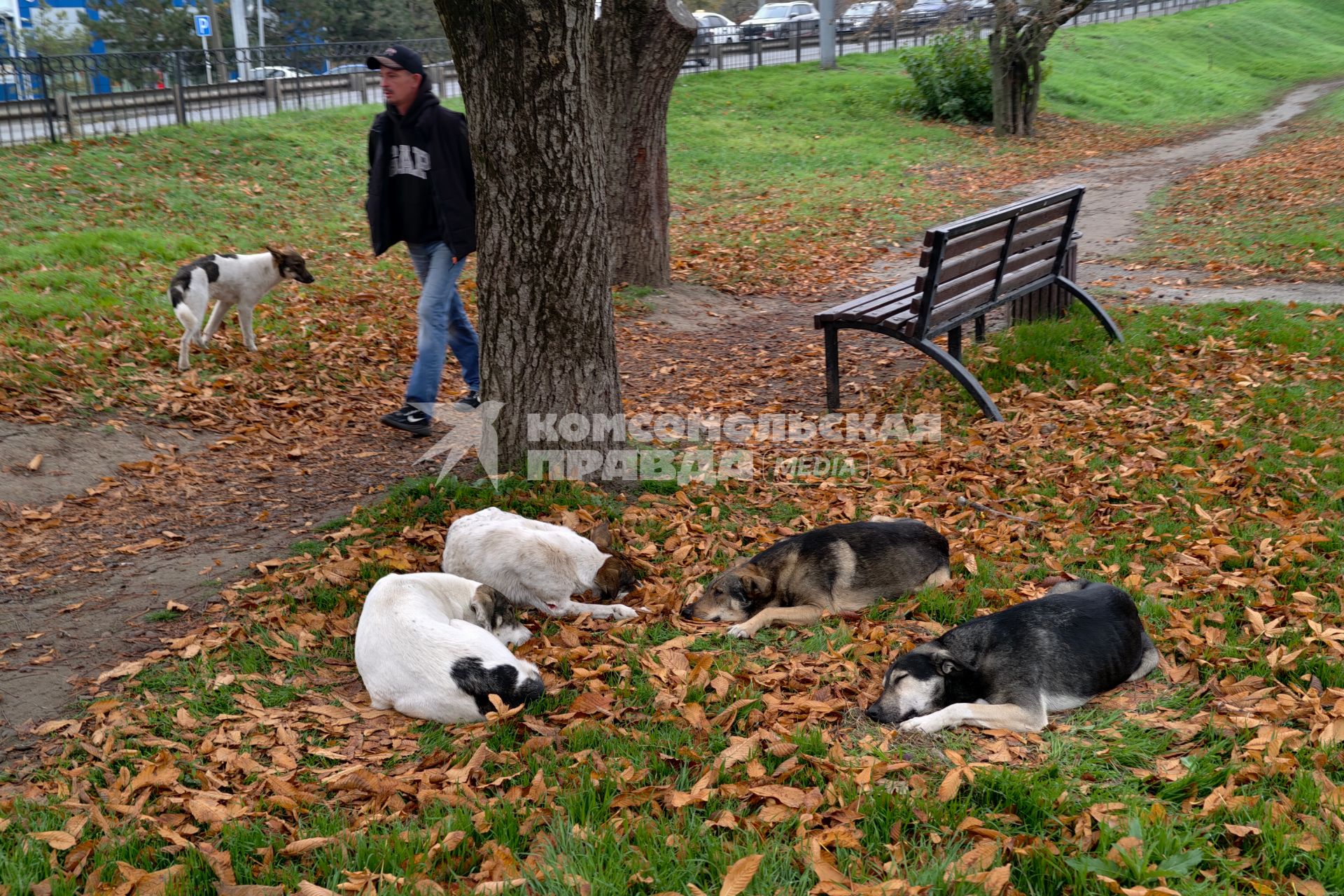 Повседневное