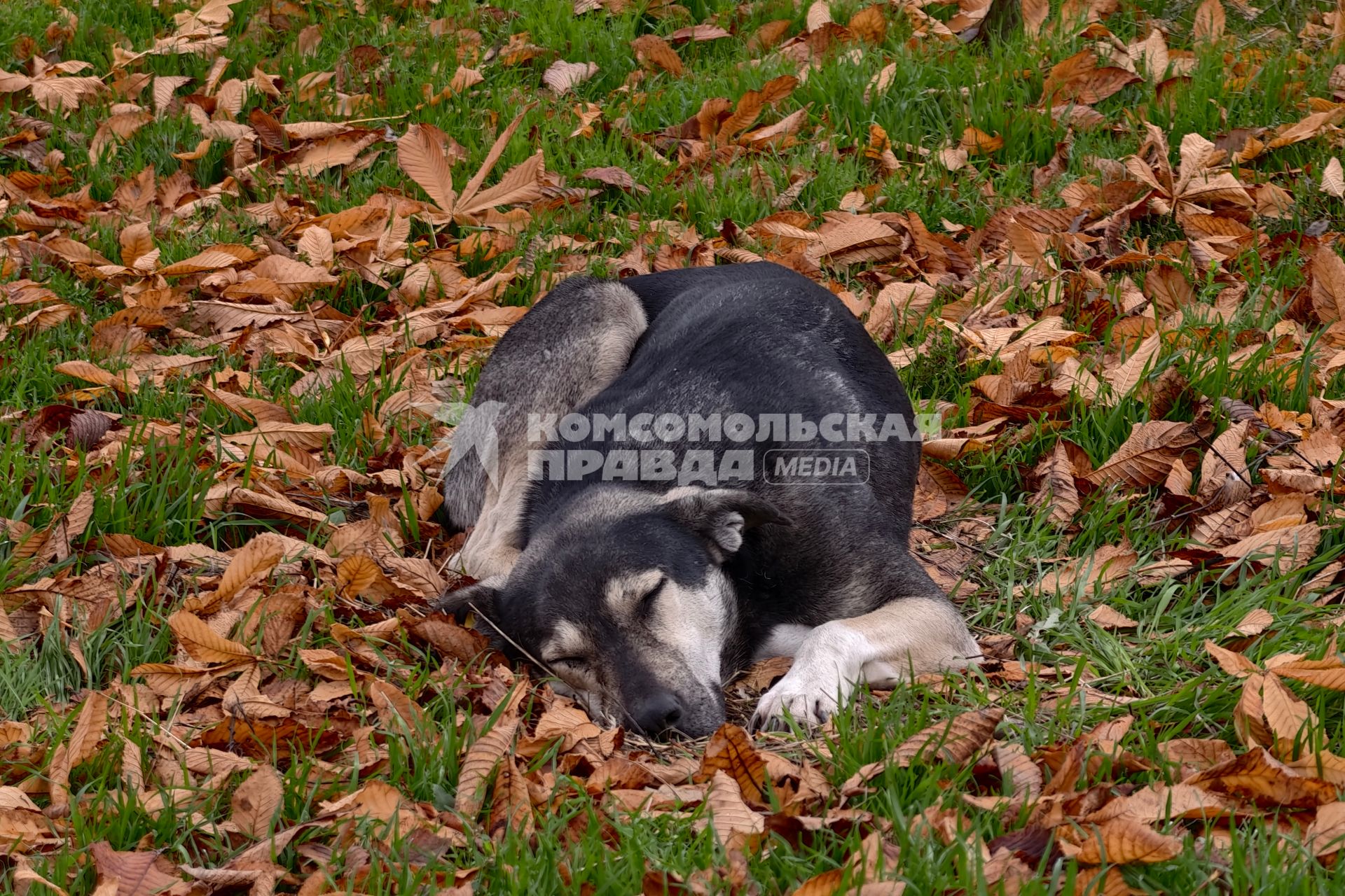 Повседневное