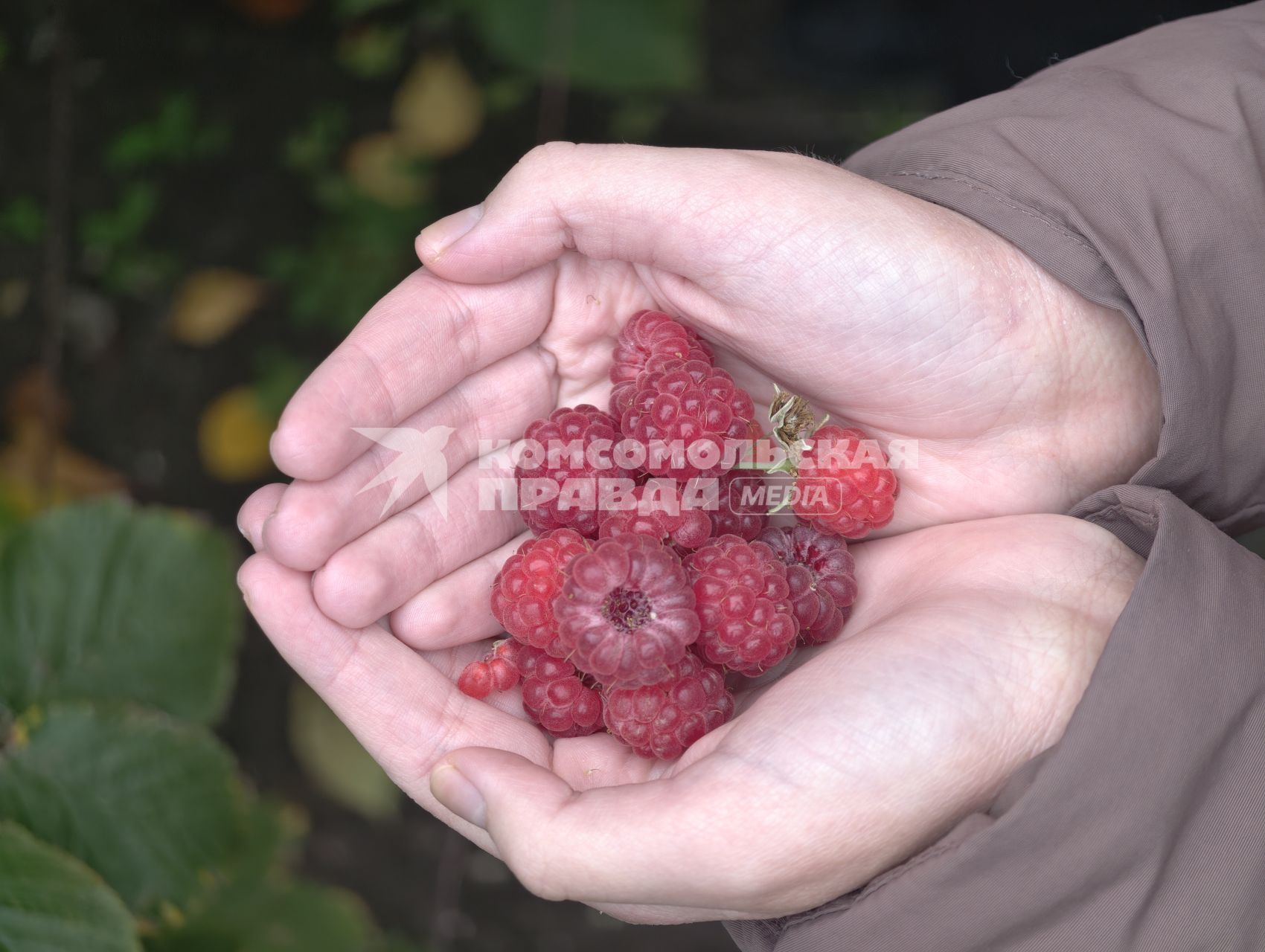 Повседневное