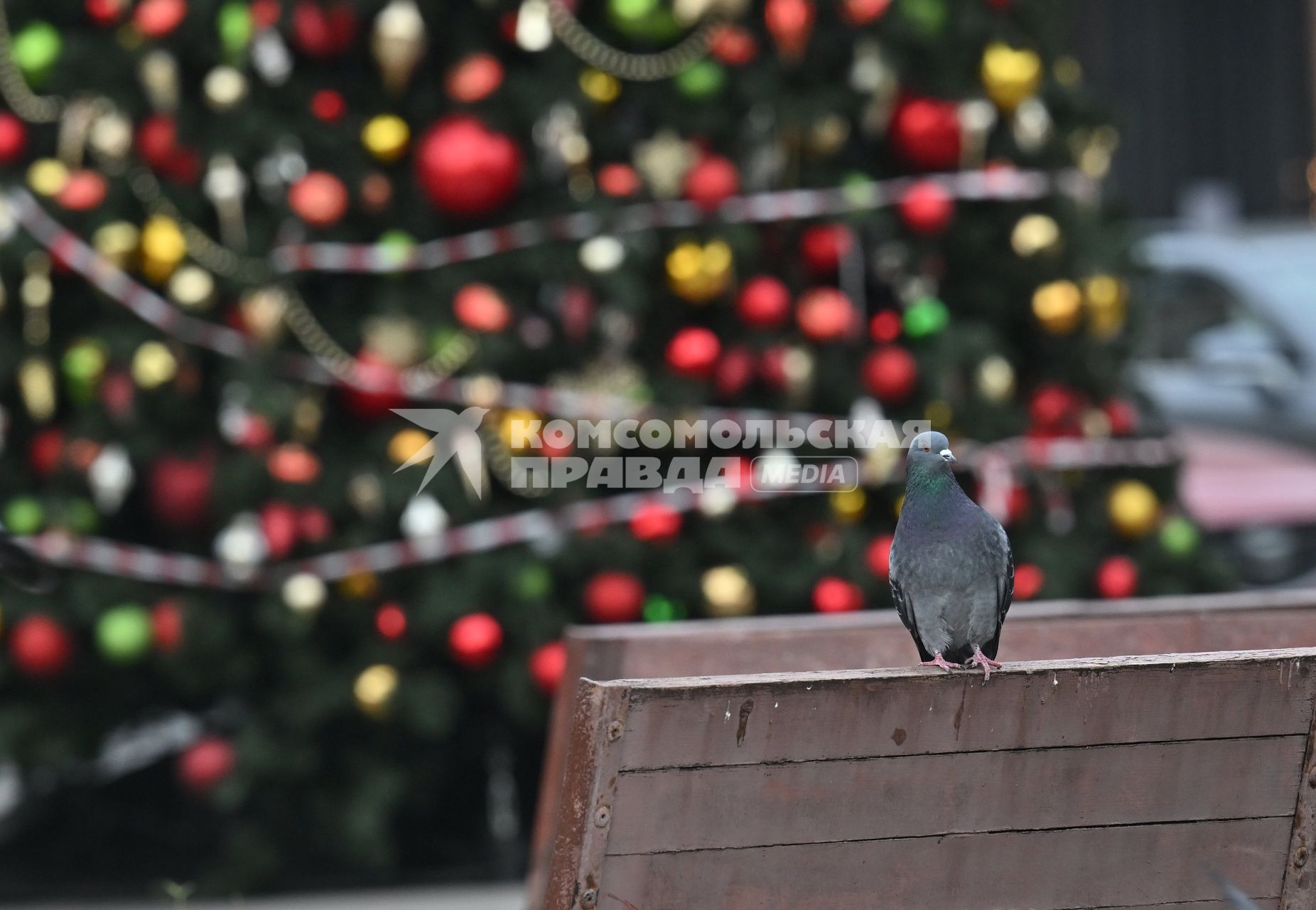 Предновогодняя Москва