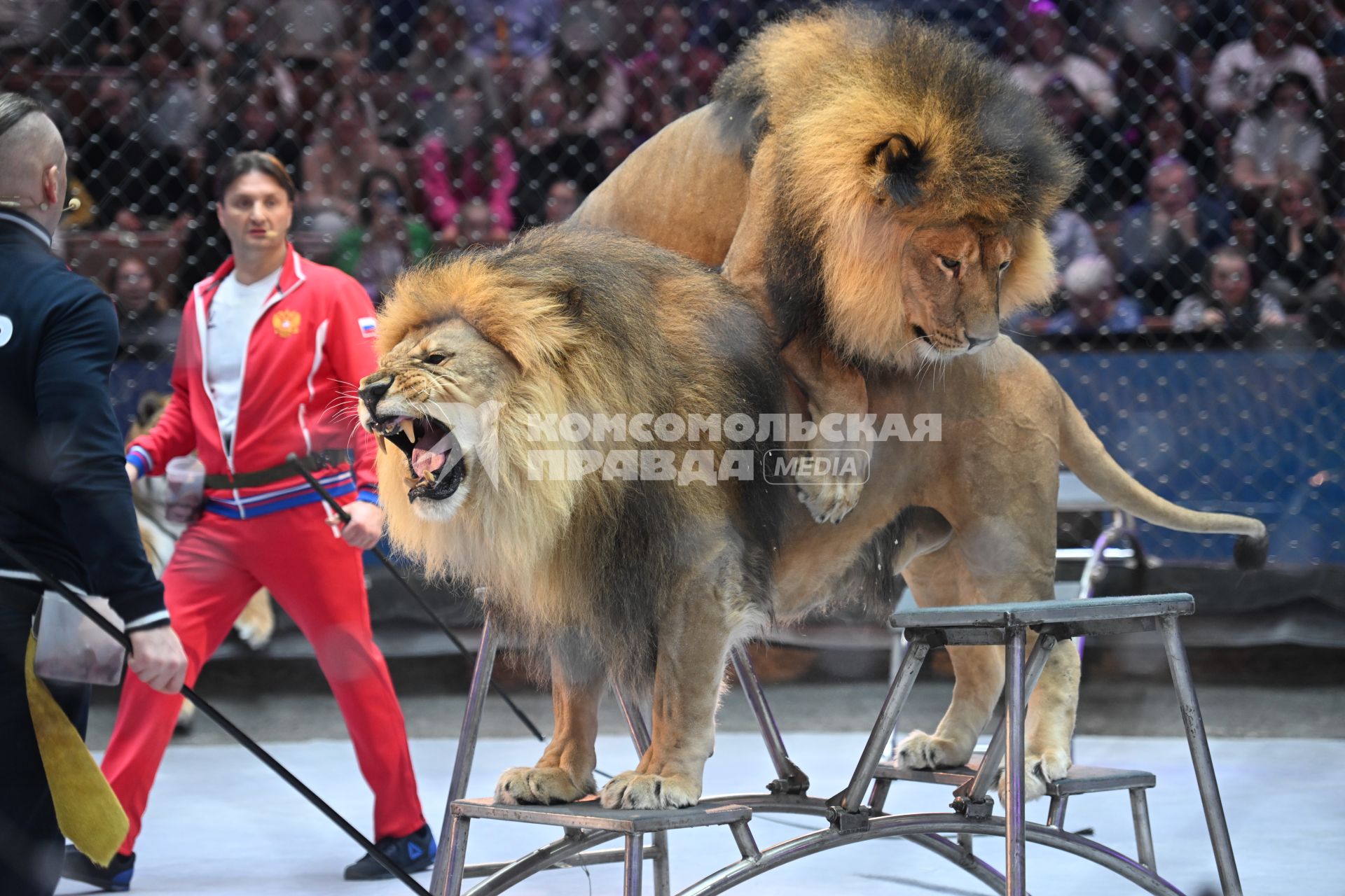 Открытая репетиция в Большом Московском цирке