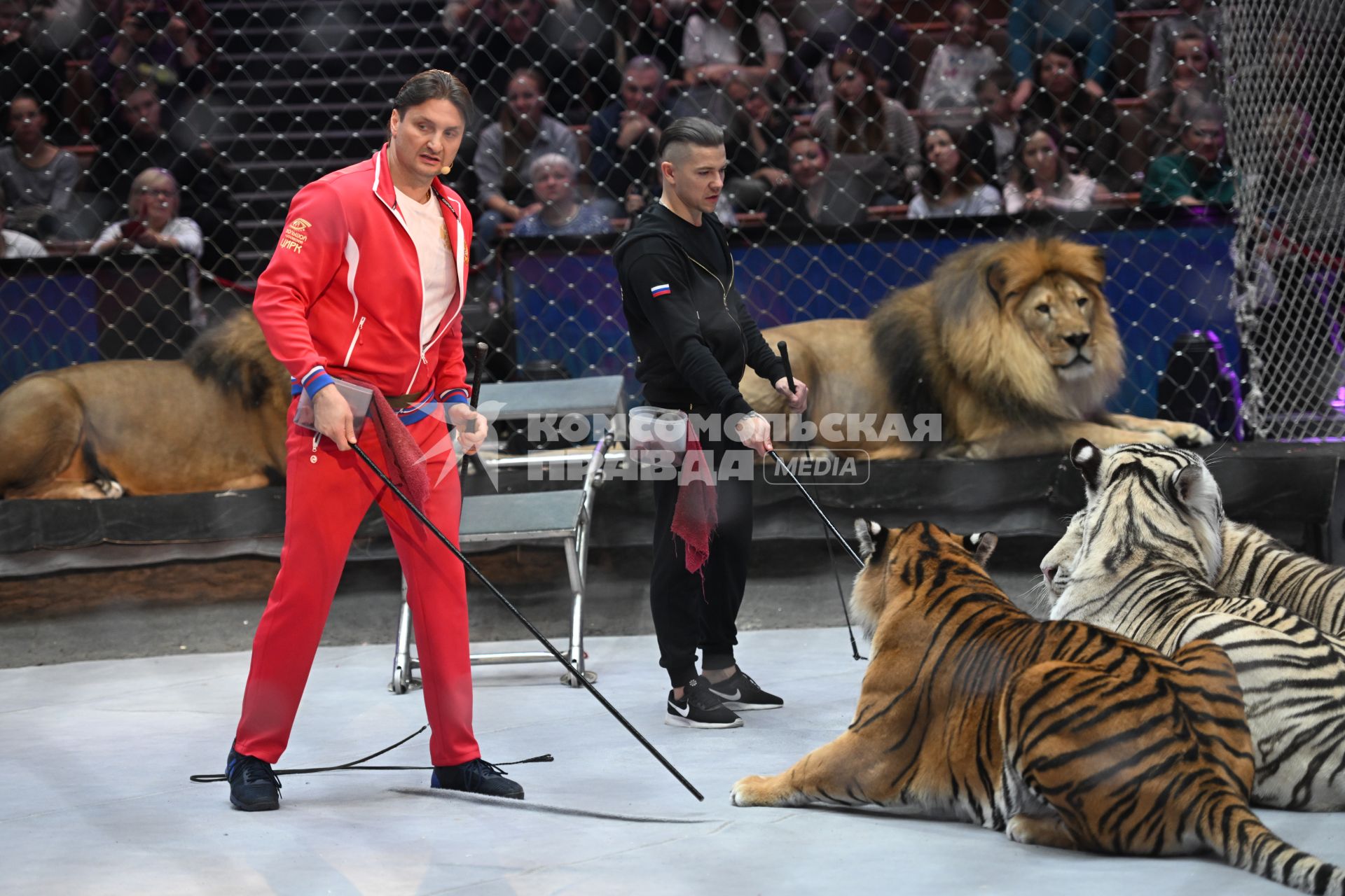 Открытая репетиция в Большом Московском цирке