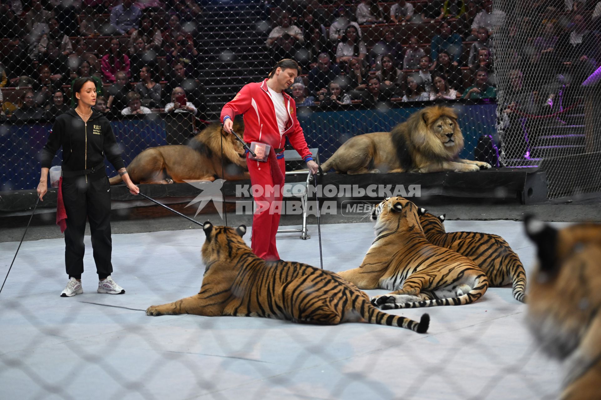 Открытая репетиция в Большом Московском цирке