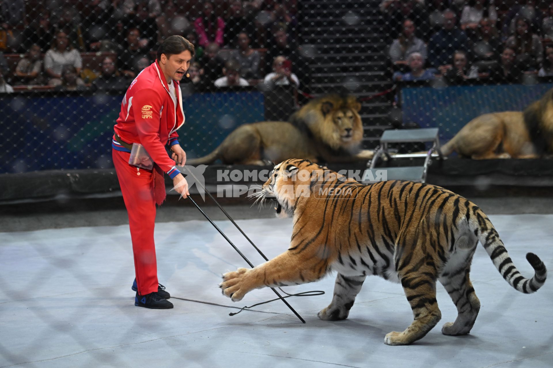 Открытая репетиция в Большом Московском цирке