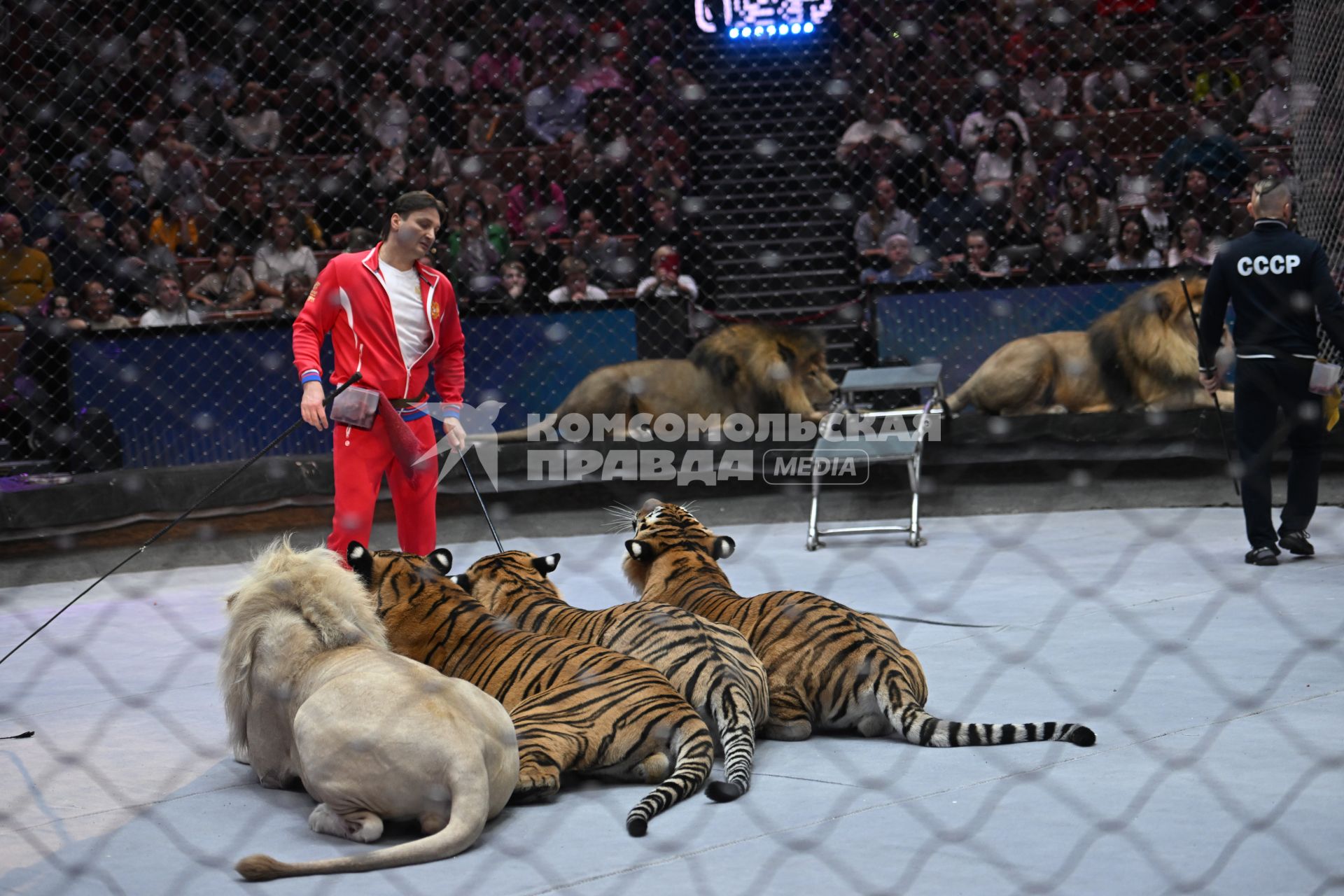 Открытая репетиция в Большом Московском цирке