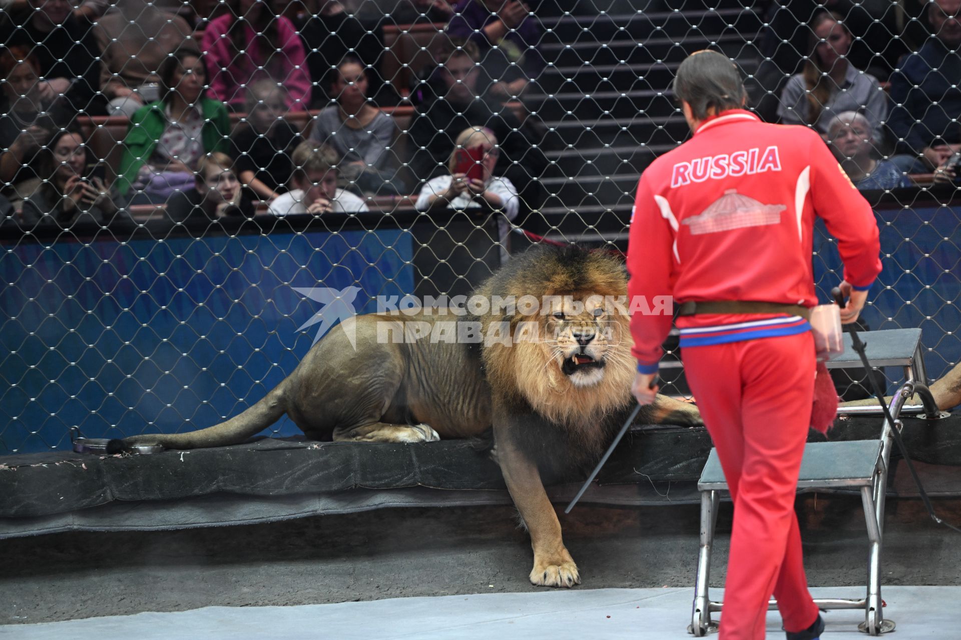 Открытая репетиция в Большом Московском цирке