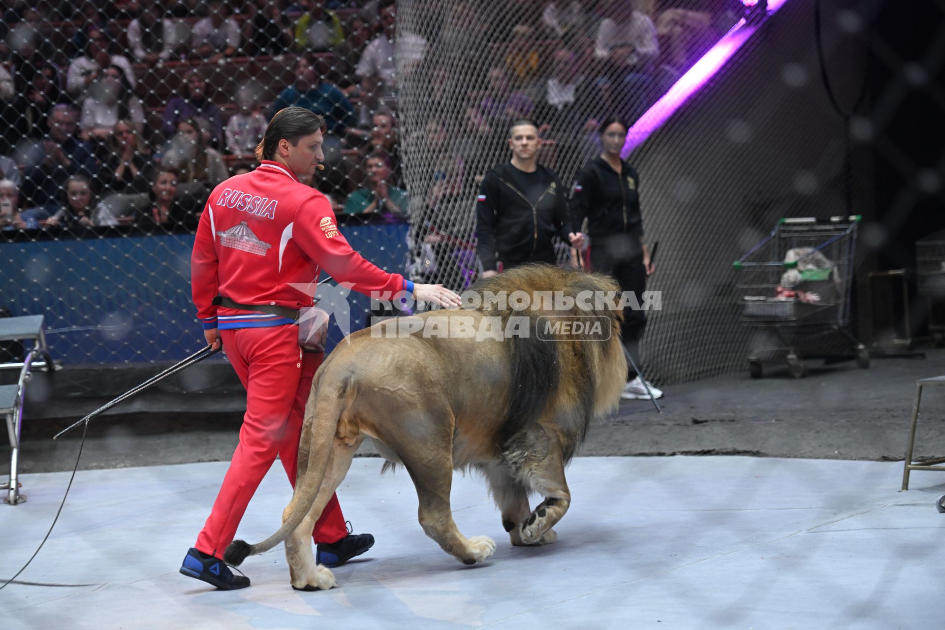Открытая репетиция в Большом Московском цирке