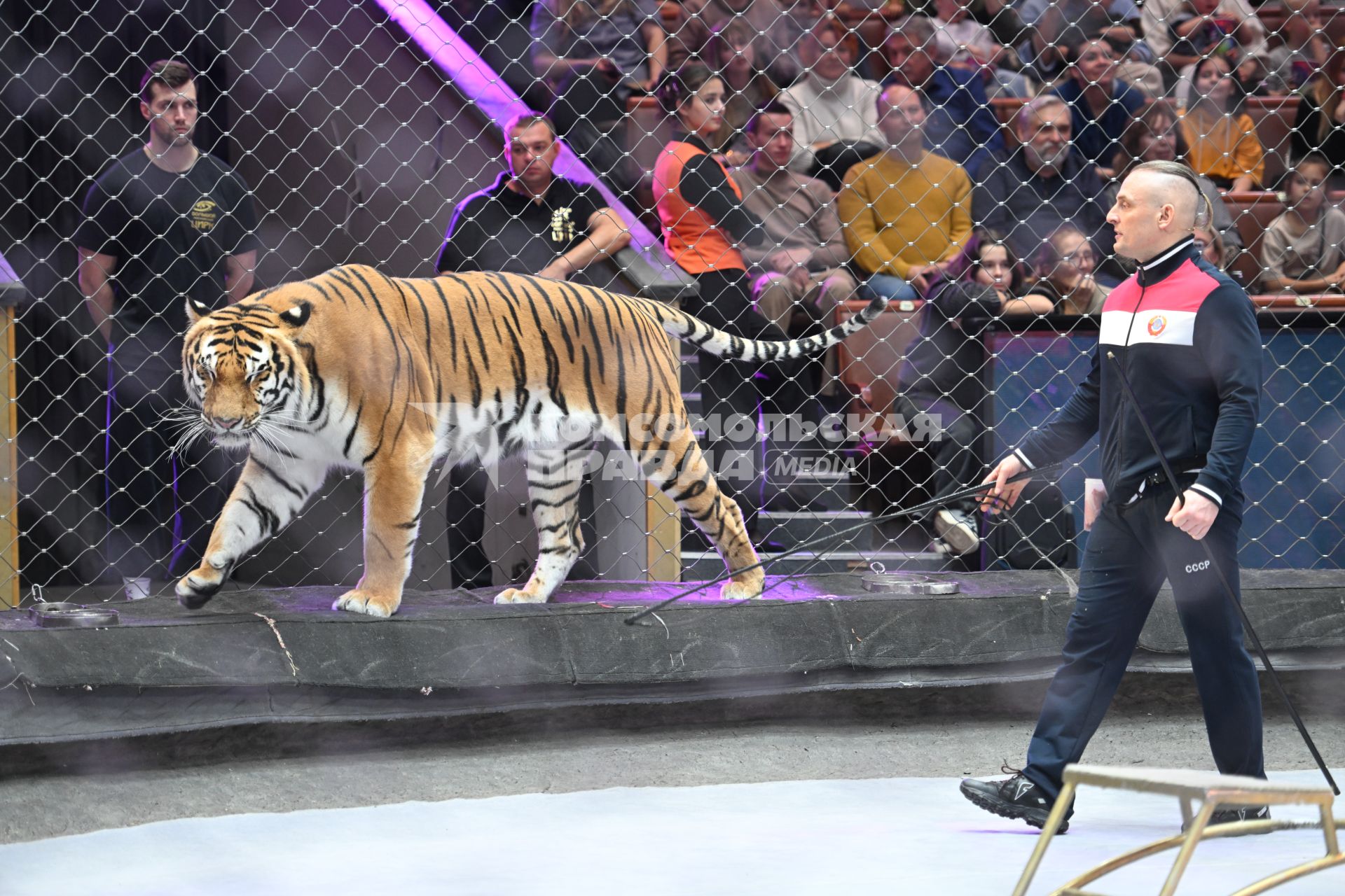 Открытая репетиция в Большом Московском цирке