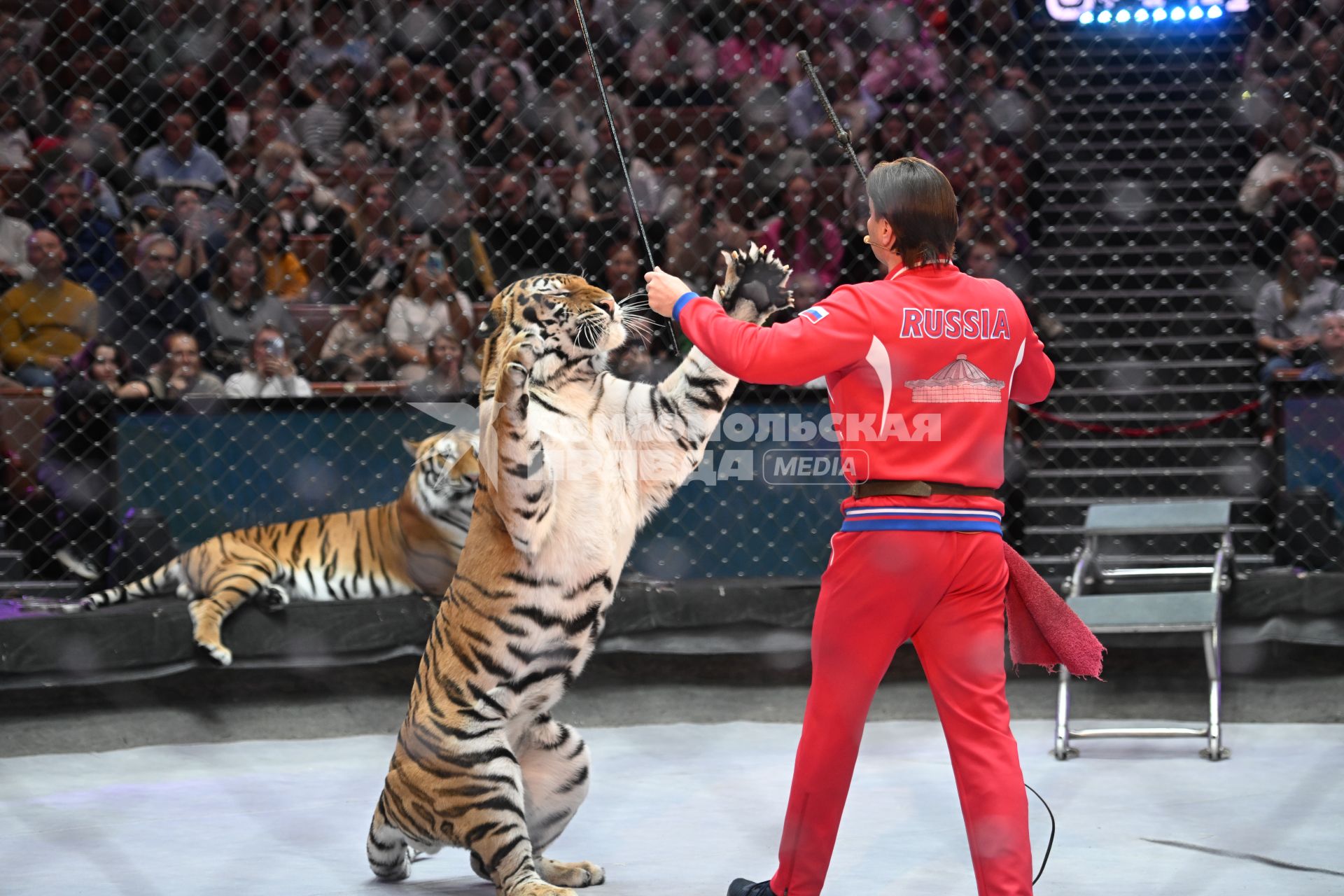 Открытая репетиция в Большом Московском цирке