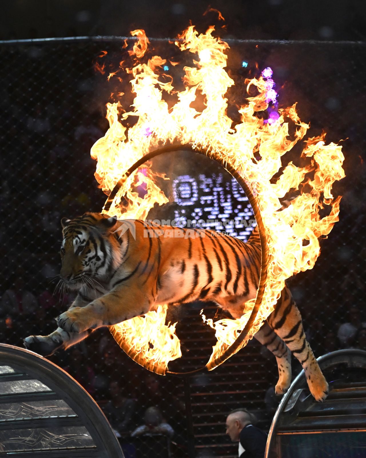 Открытая репетиция в Большом Московском цирке