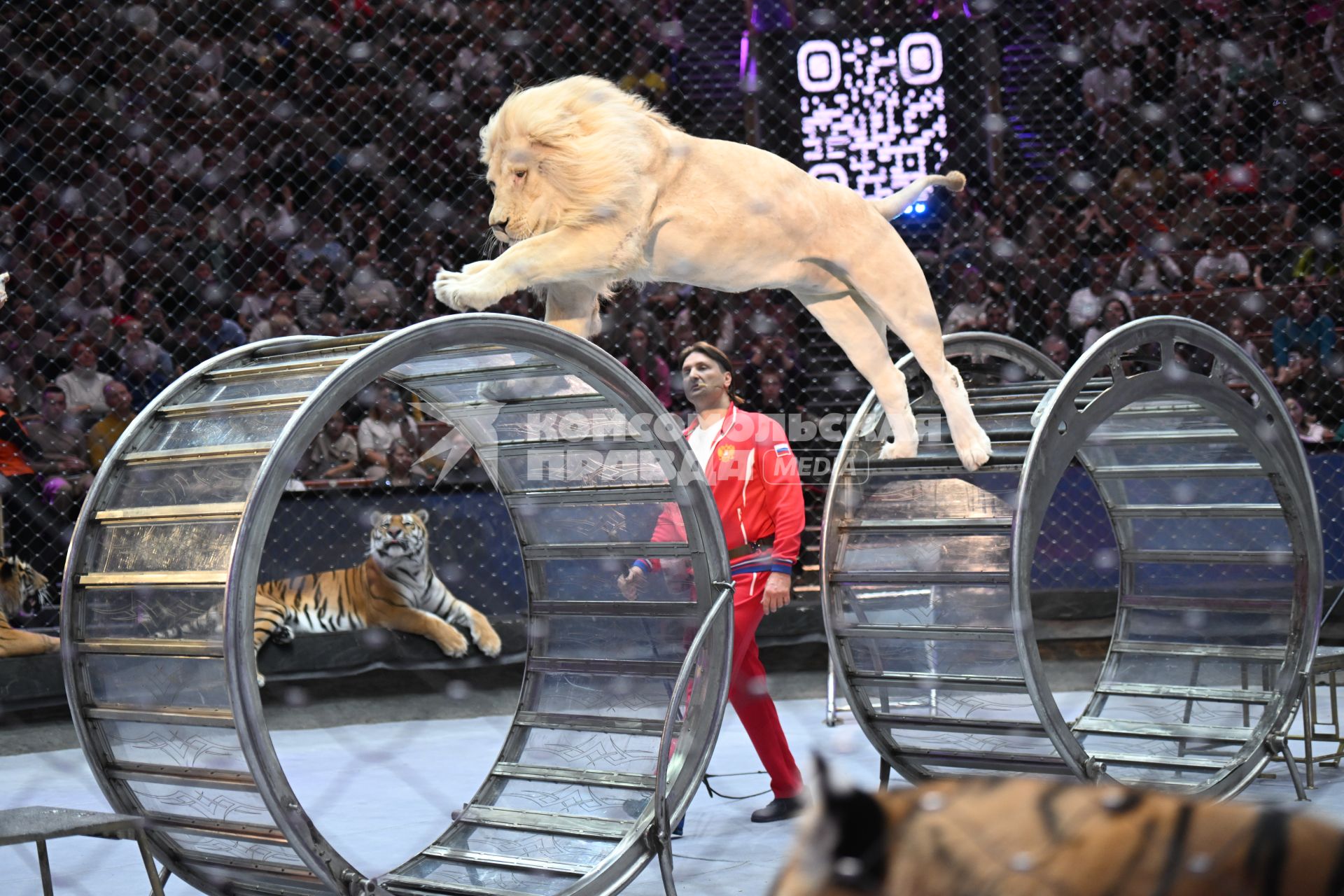 Открытая репетиция в Большом Московском цирке