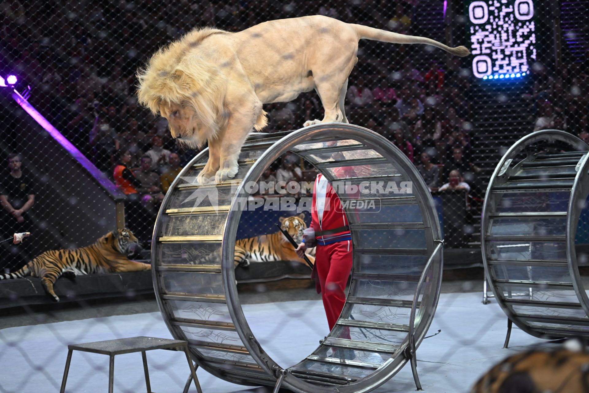 Открытая репетиция в Большом Московском цирке