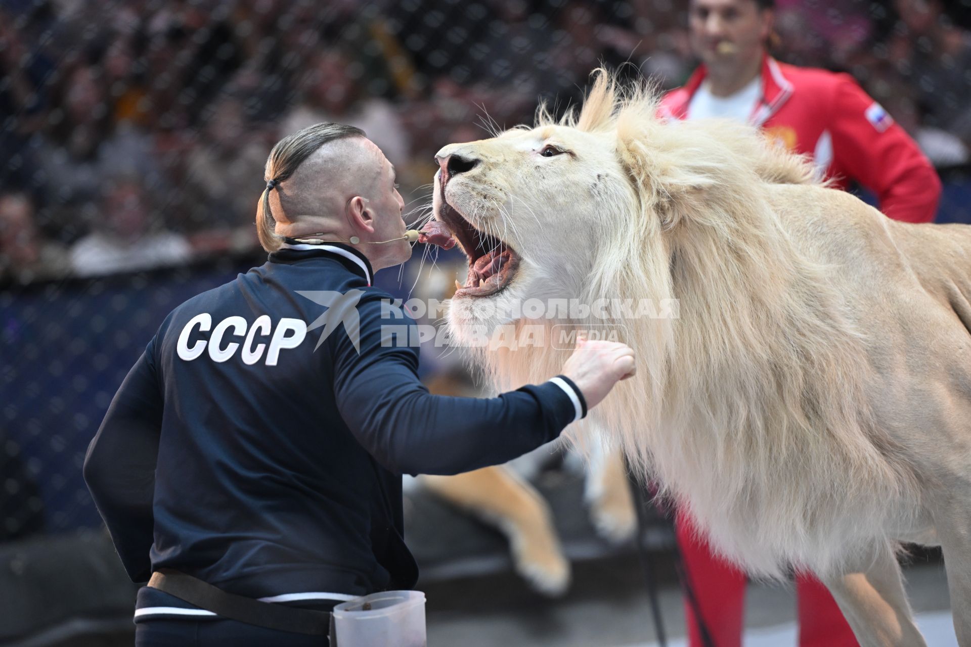 Открытая репетиция в Большом Московском цирке