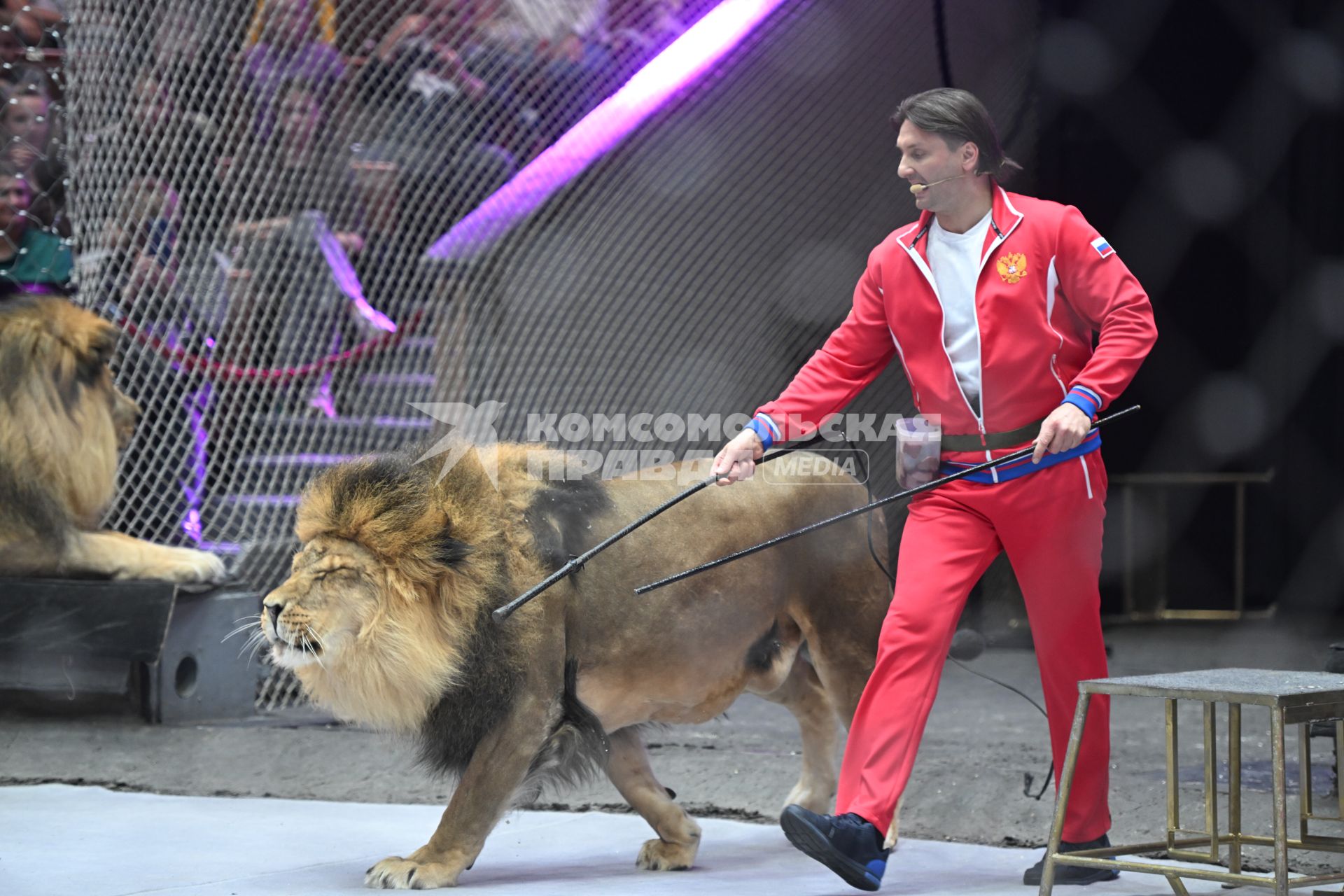 Открытая репетиция в Большом Московском цирке