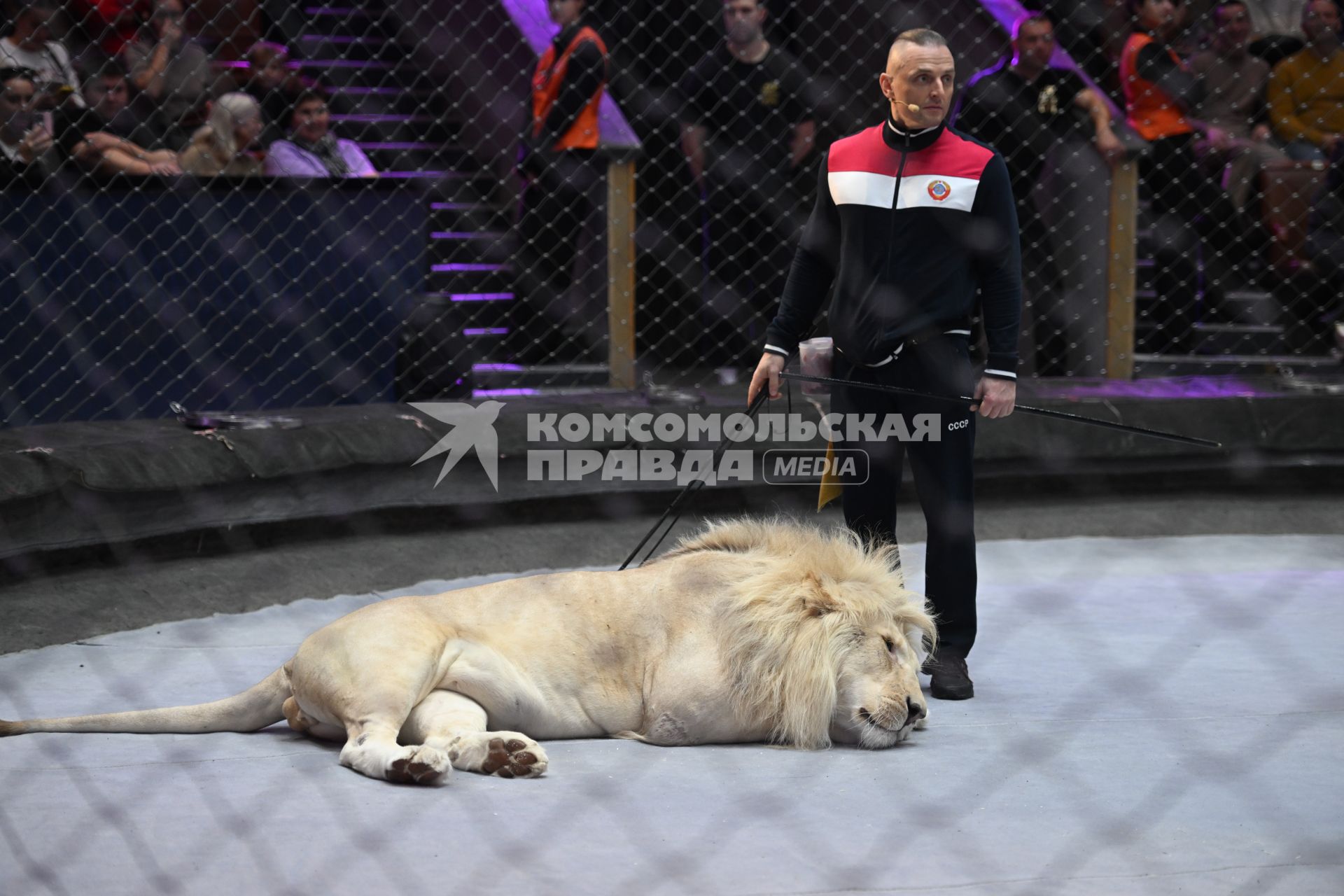 Открытая репетиция в Большом Московском цирке