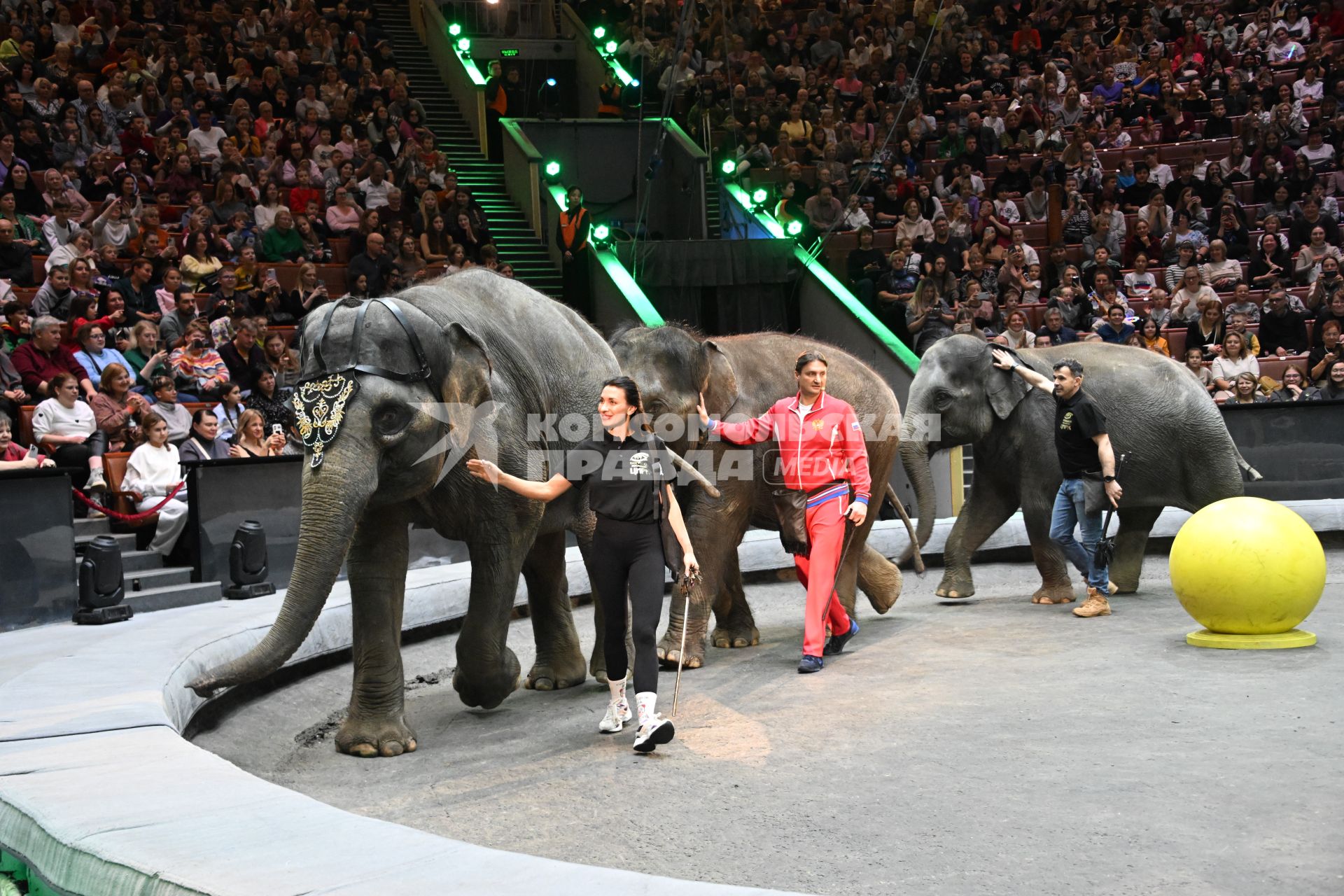 Открытая репетиция в Большом Московском цирке