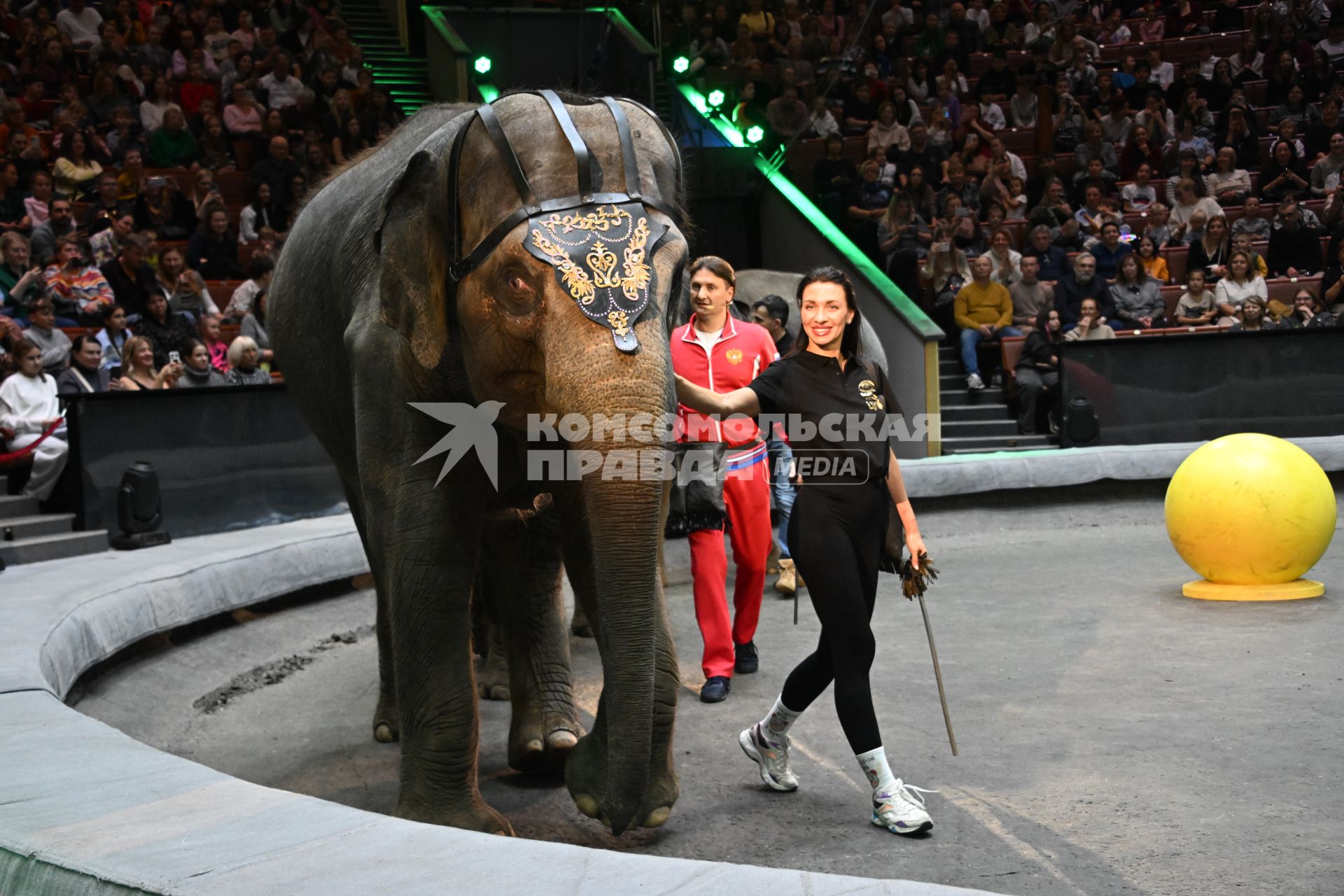 Открытая репетиция в Большом Московском цирке