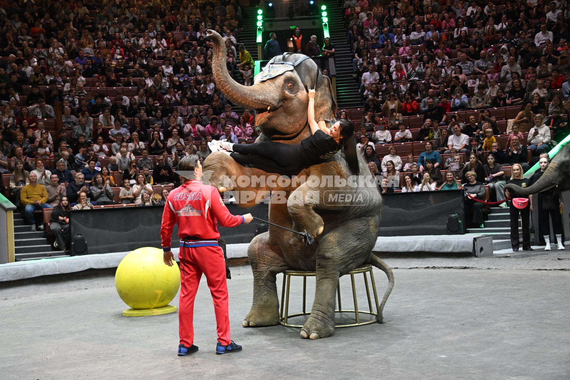 Открытая репетиция в Большом Московском цирке