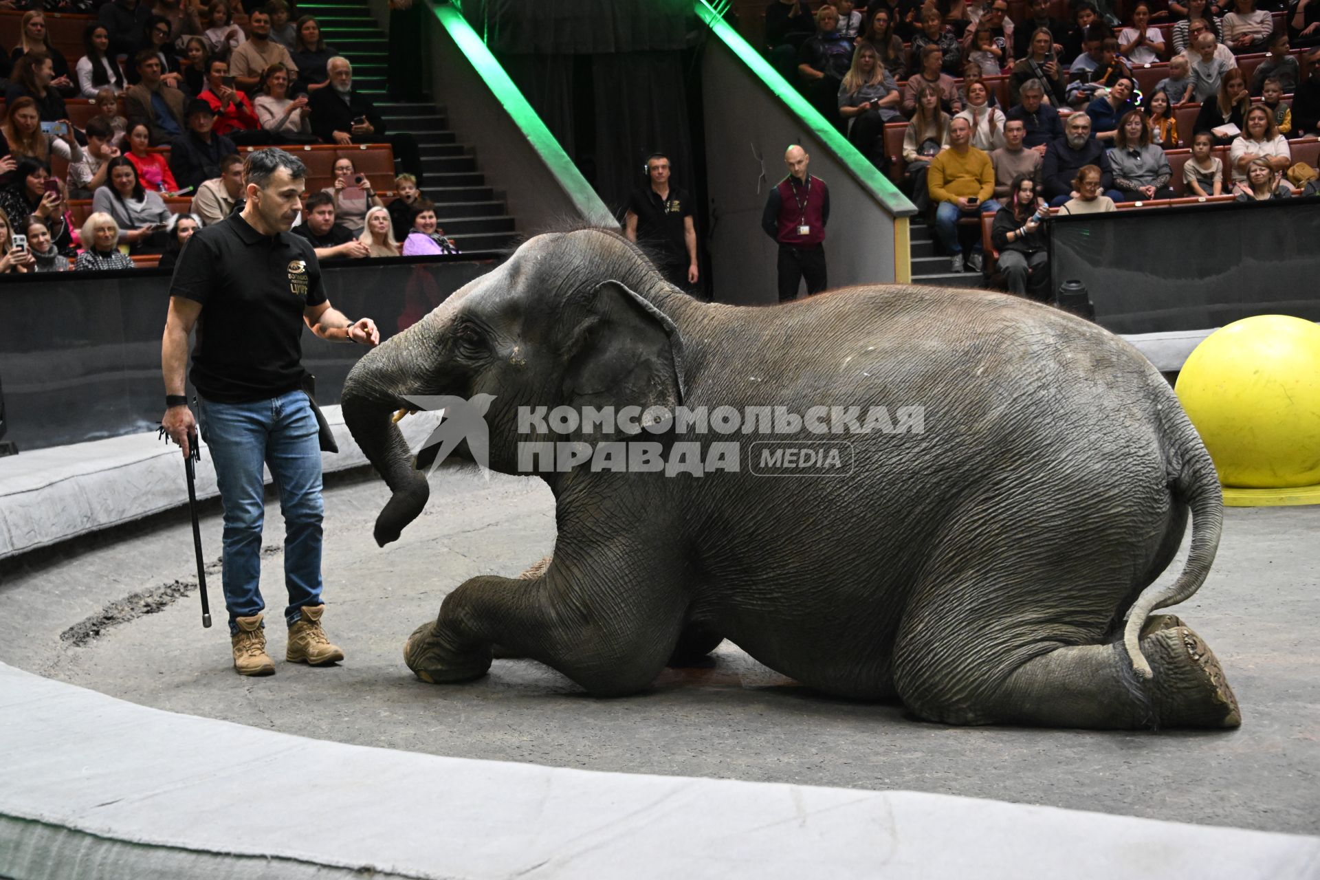 Открытая репетиция в Большом Московском цирке