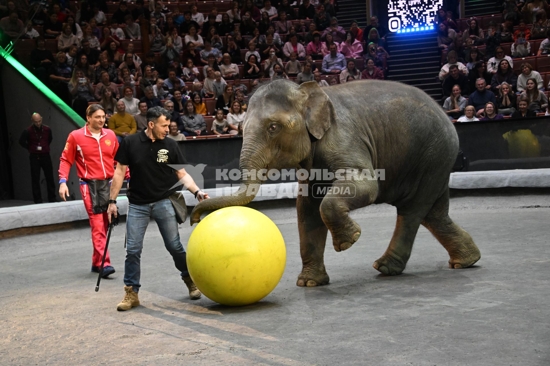 Открытая репетиция в Большом Московском цирке