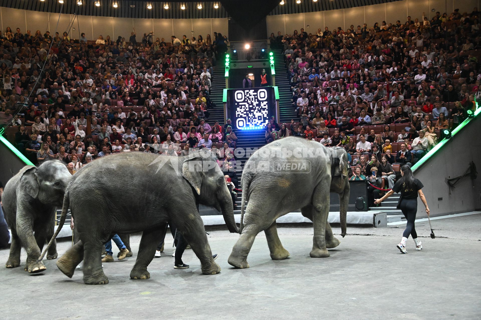 Открытая репетиция в Большом Московском цирке