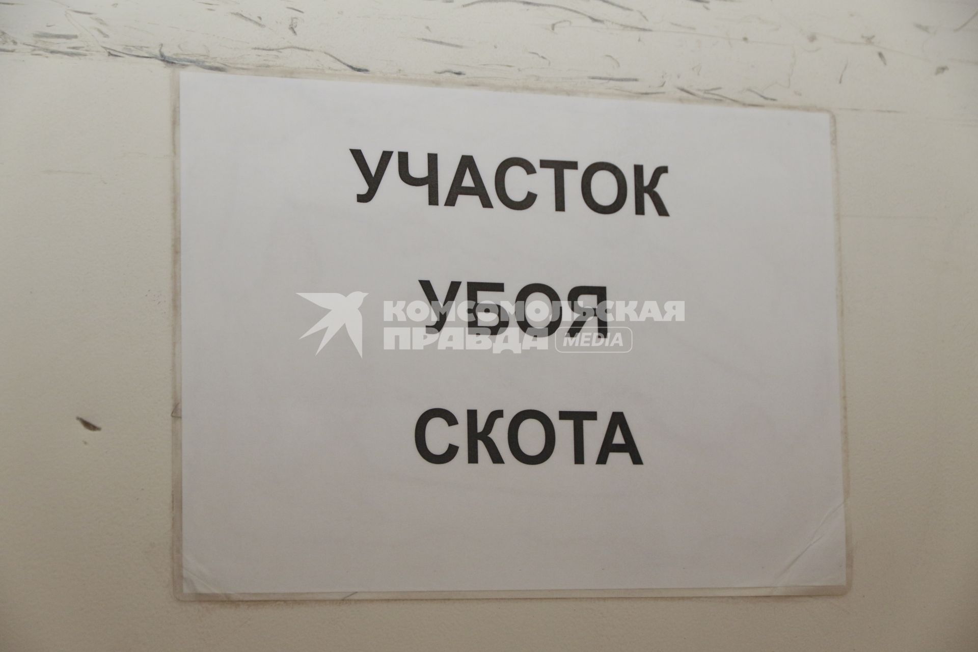 Мясокомбинат