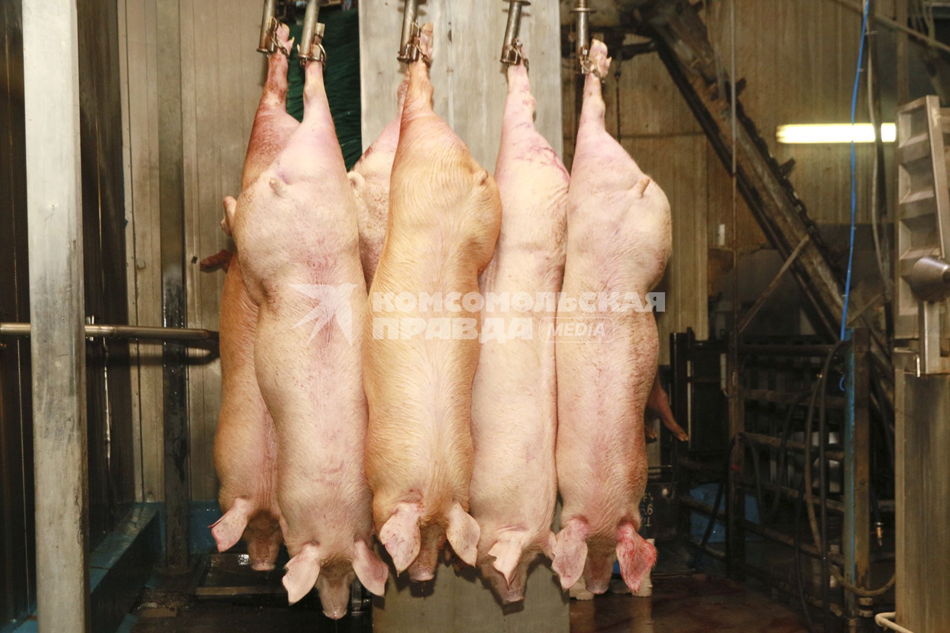 Мясокомбинат