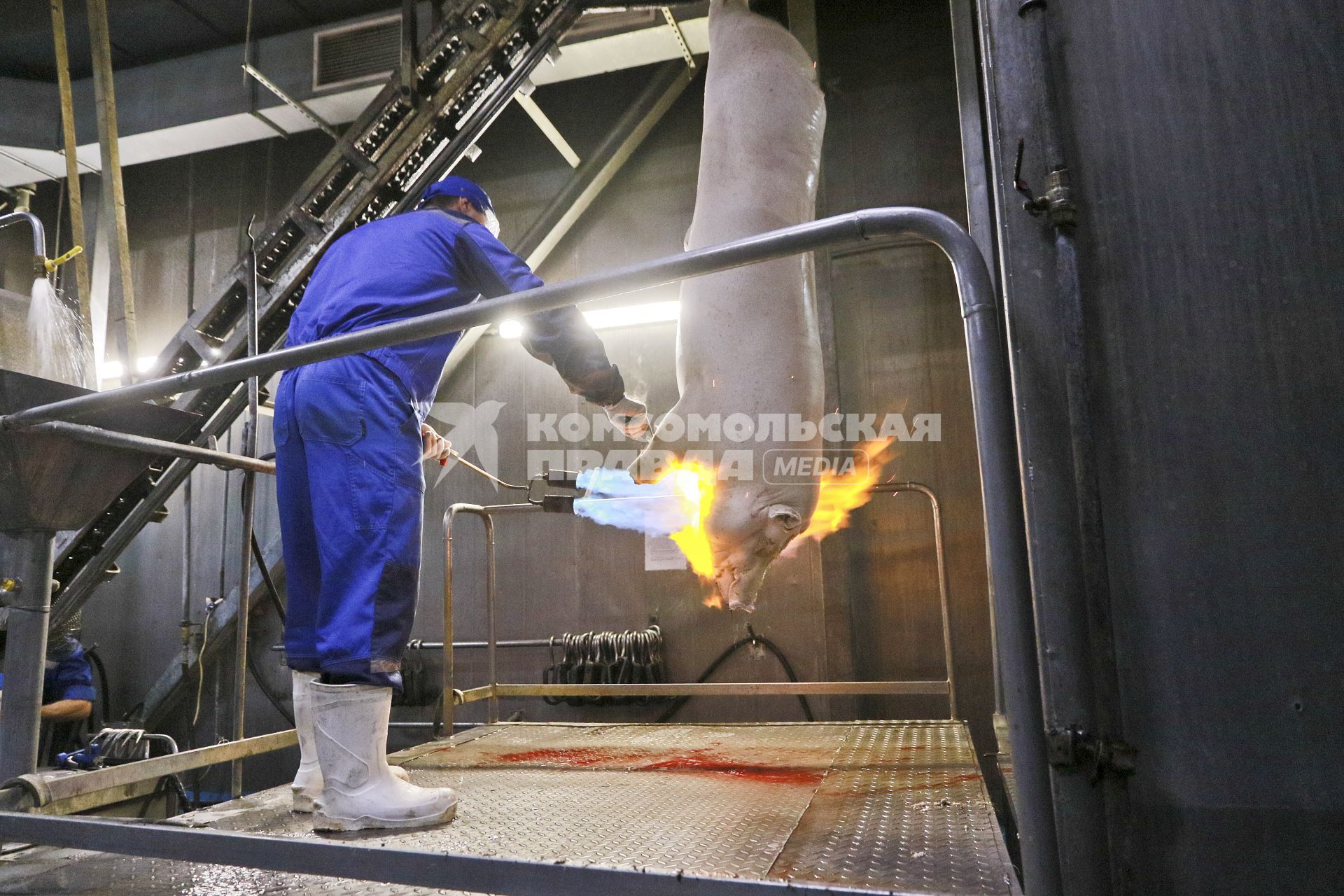 Мясокомбинат