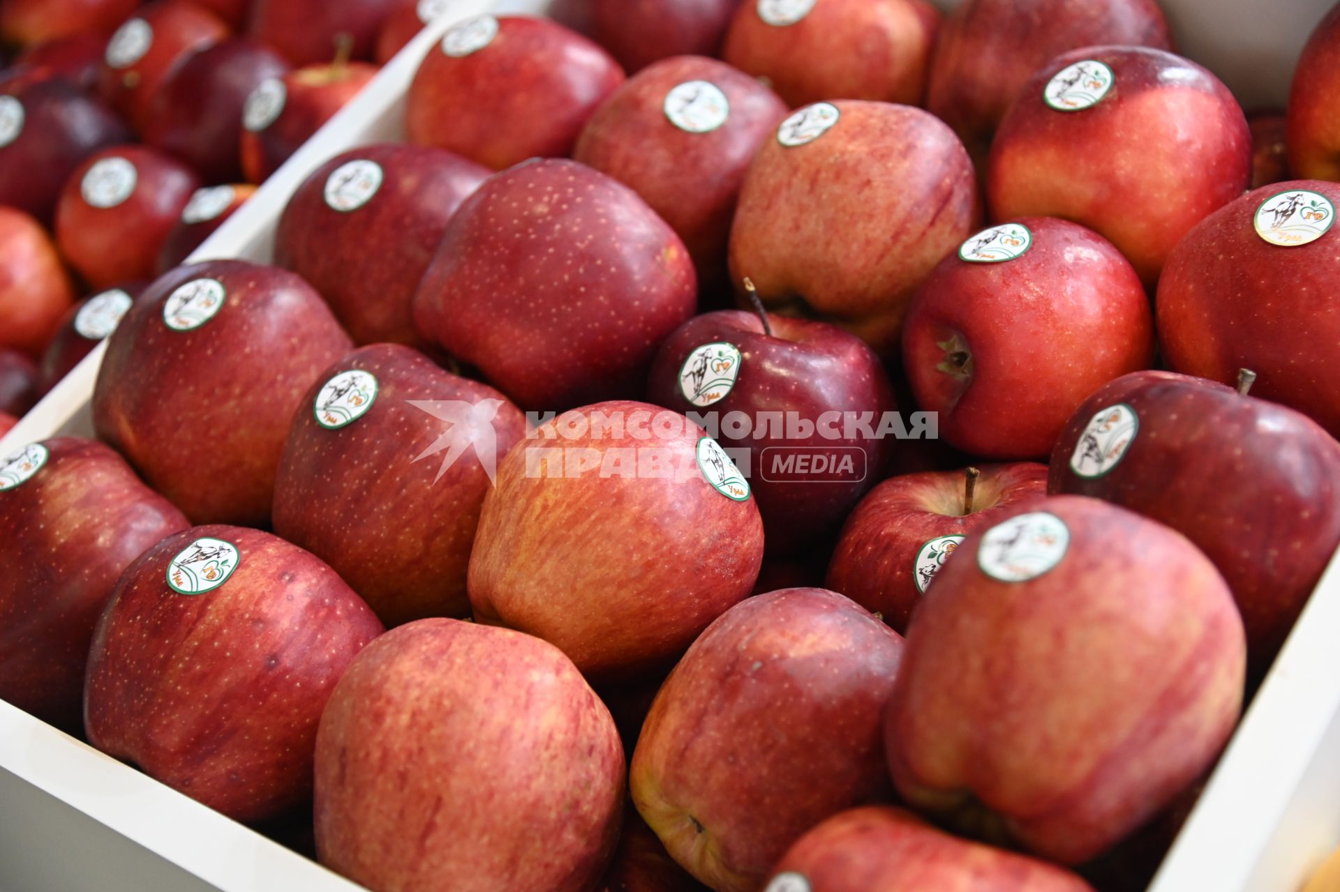 XIII Межрегиональная агропромышленная выставка \"Агропром Урал\"