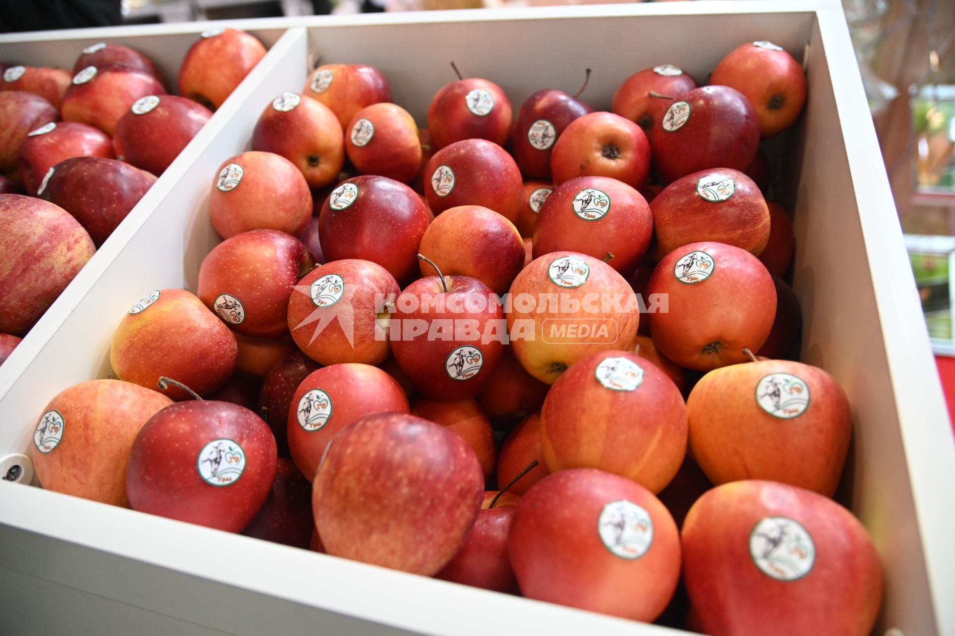 XIII Межрегиональная агропромышленная выставка \"Агропром Урал\"