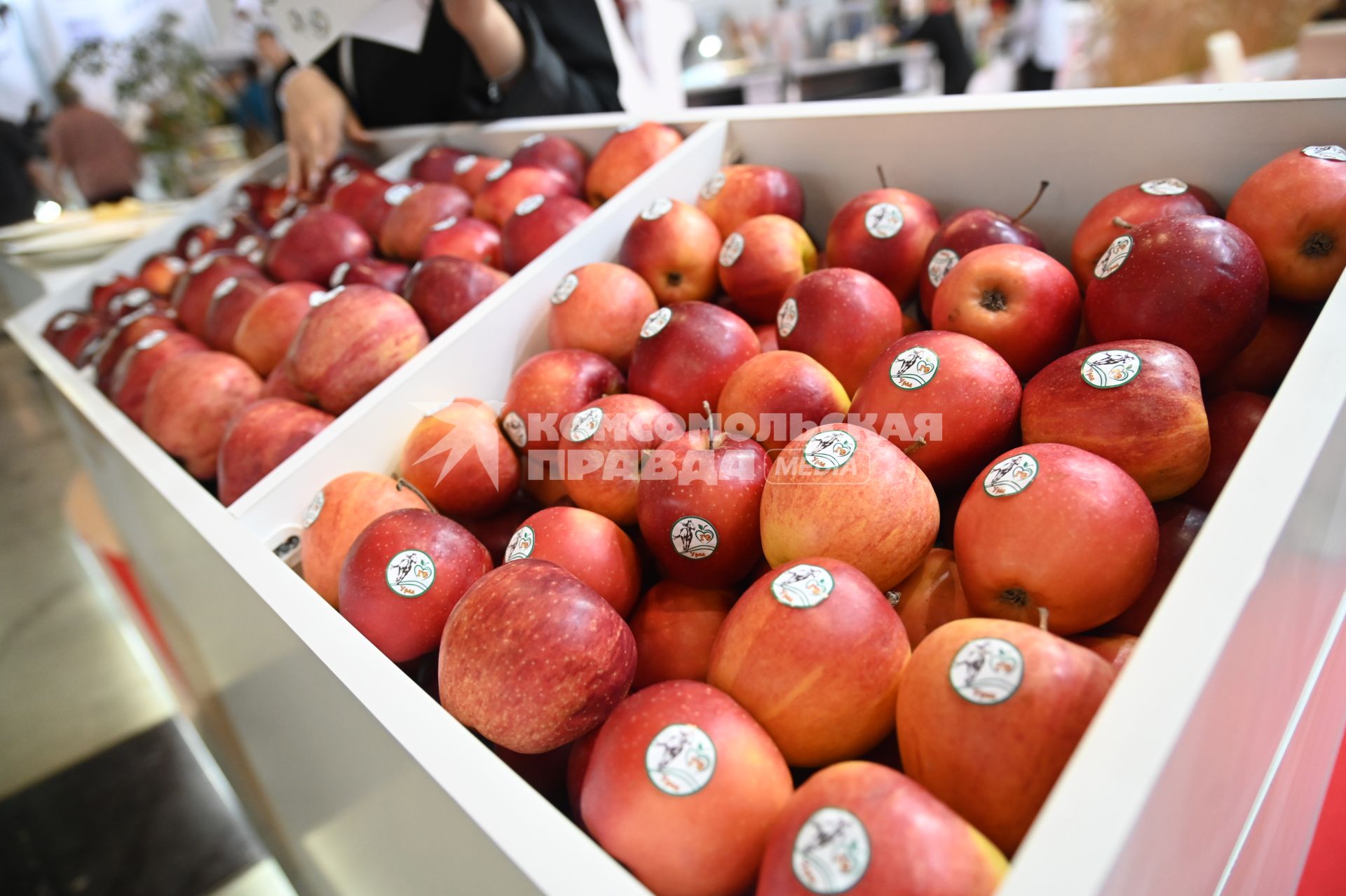 XIII Межрегиональная агропромышленная выставка \"Агропром Урал\"