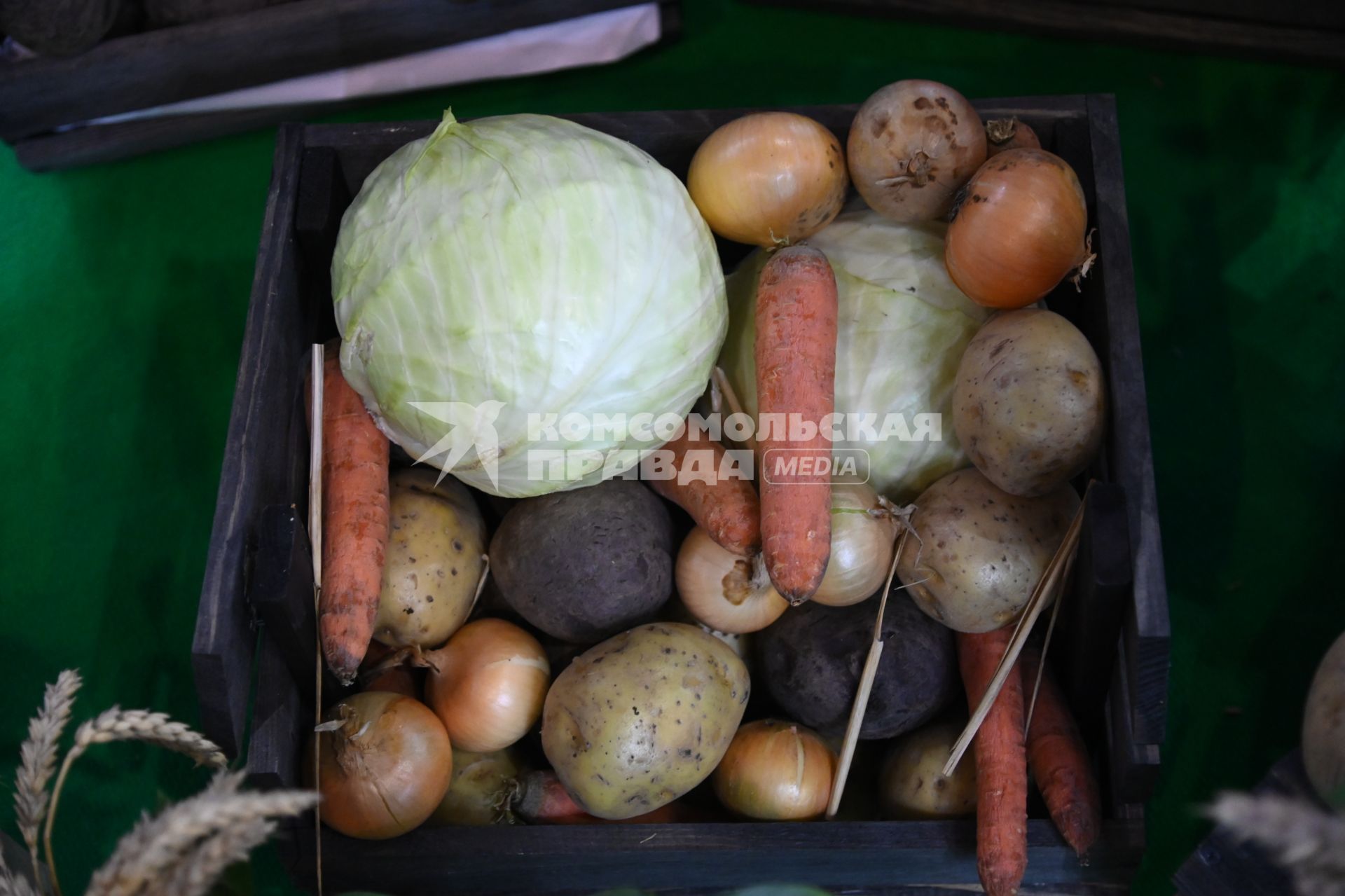 XIII Межрегиональная агропромышленная выставка \"Агропром Урал\"